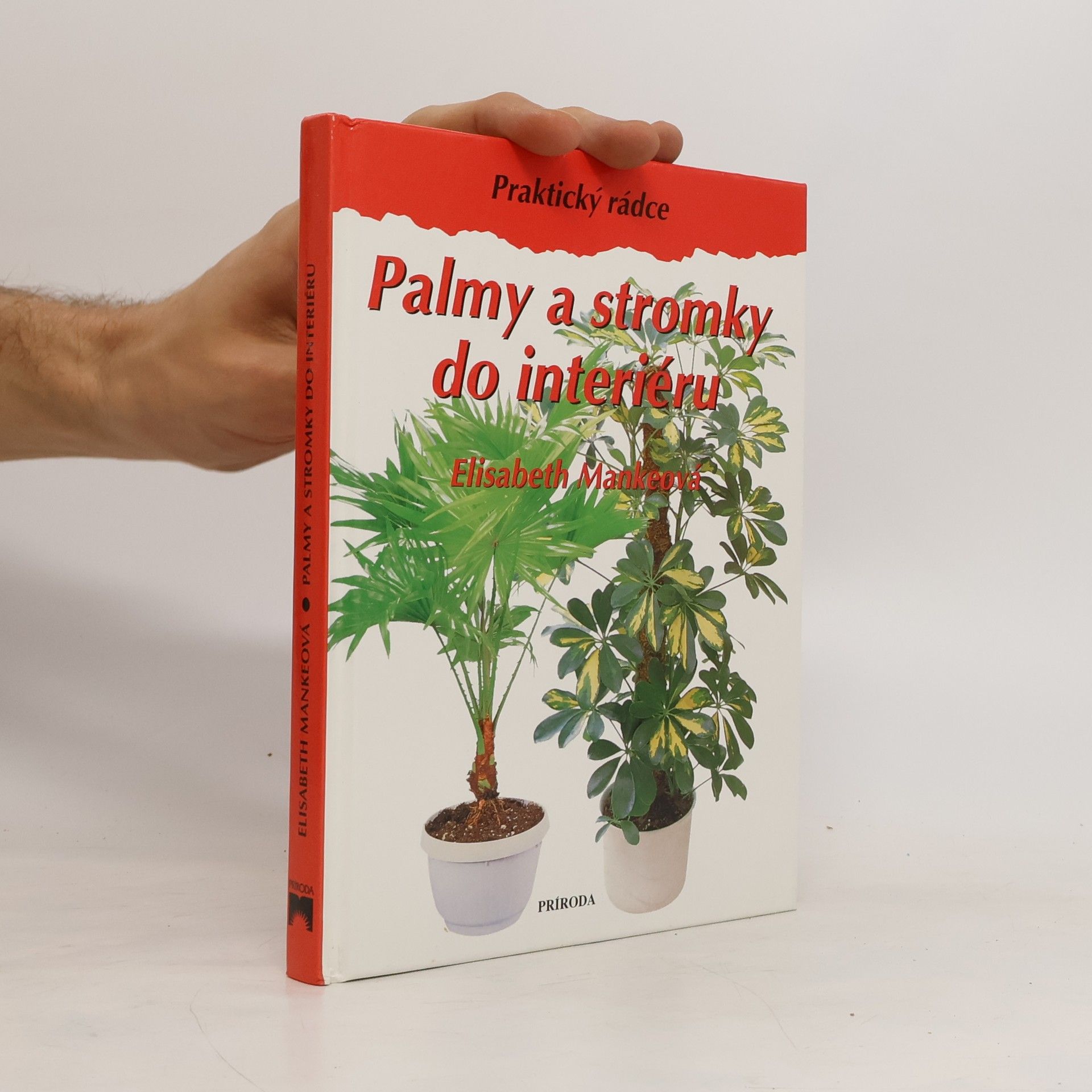 Elisabeth Manke Palmy a stromky do interiéru