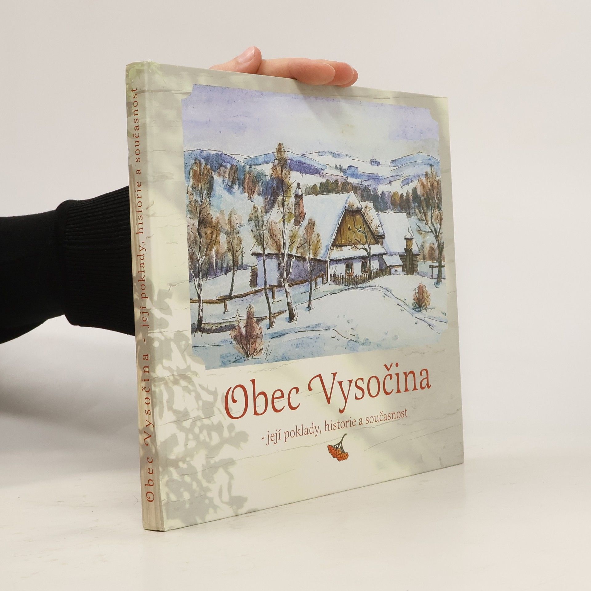 Auteurscollectief Obec Vysočina - její poklady, historie a současnost