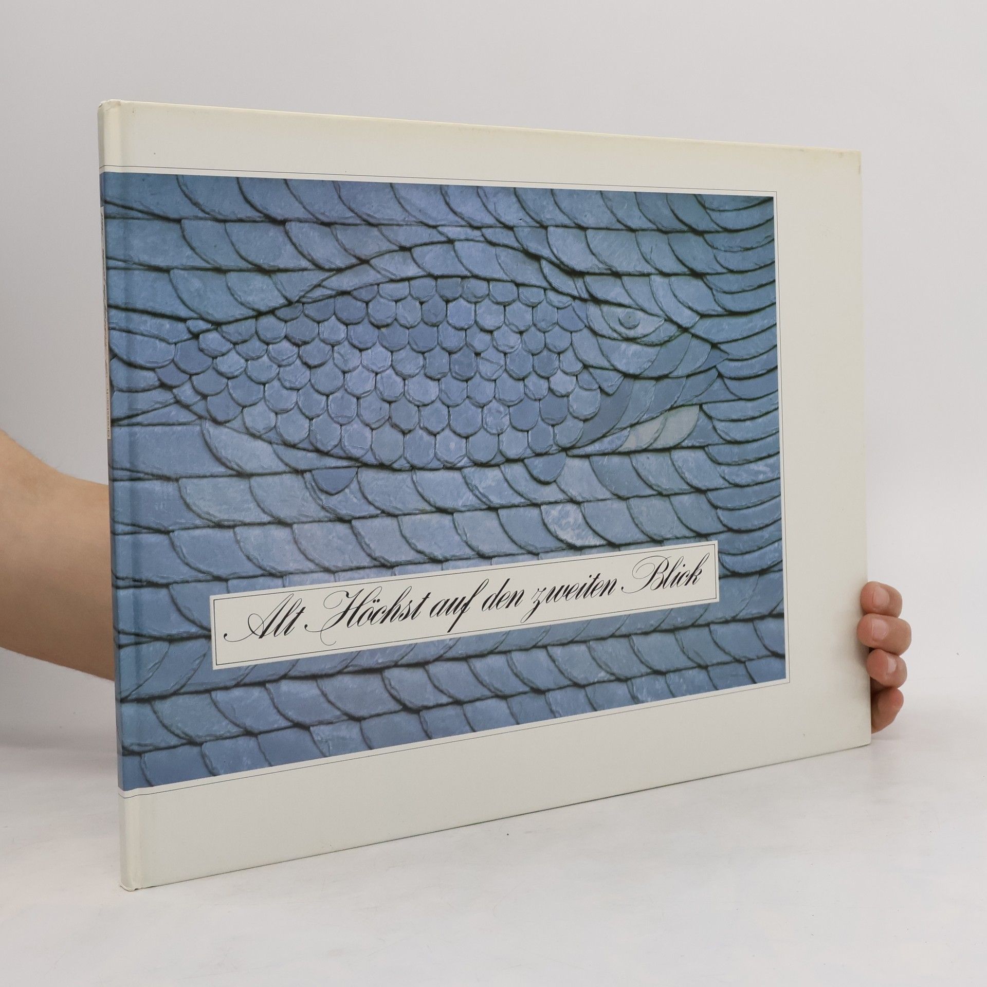 Wilhelm Grossbach Alt-Höchst auf den zweiten Blick