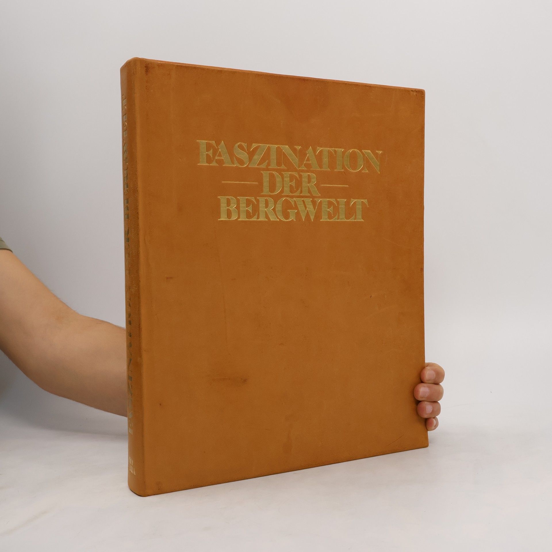 Collectif d'auteurs Faszination der Bergwelt