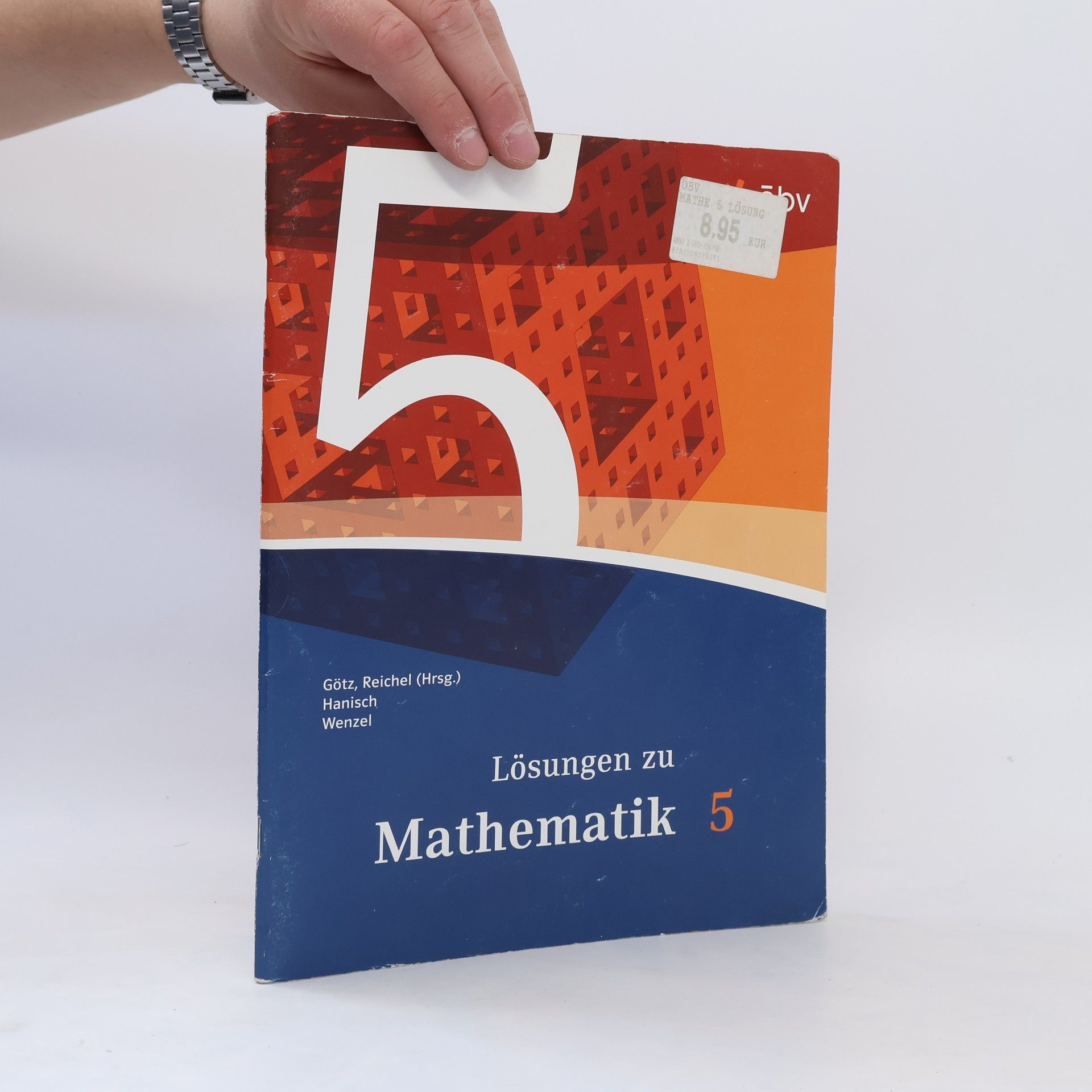 Collectif d'auteurs Lösungen zu Mathematik 5