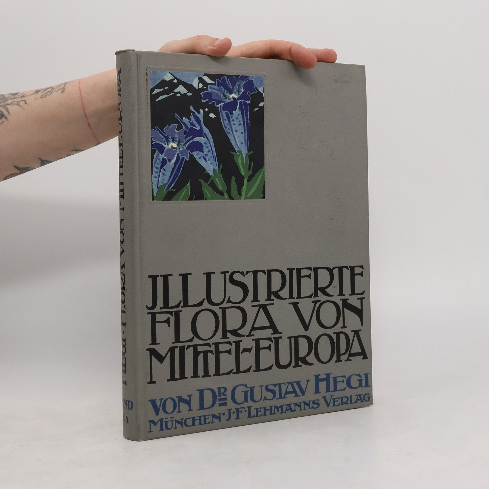 Gustav Hegi Illustrierte Flora von Mittel-Europa V.