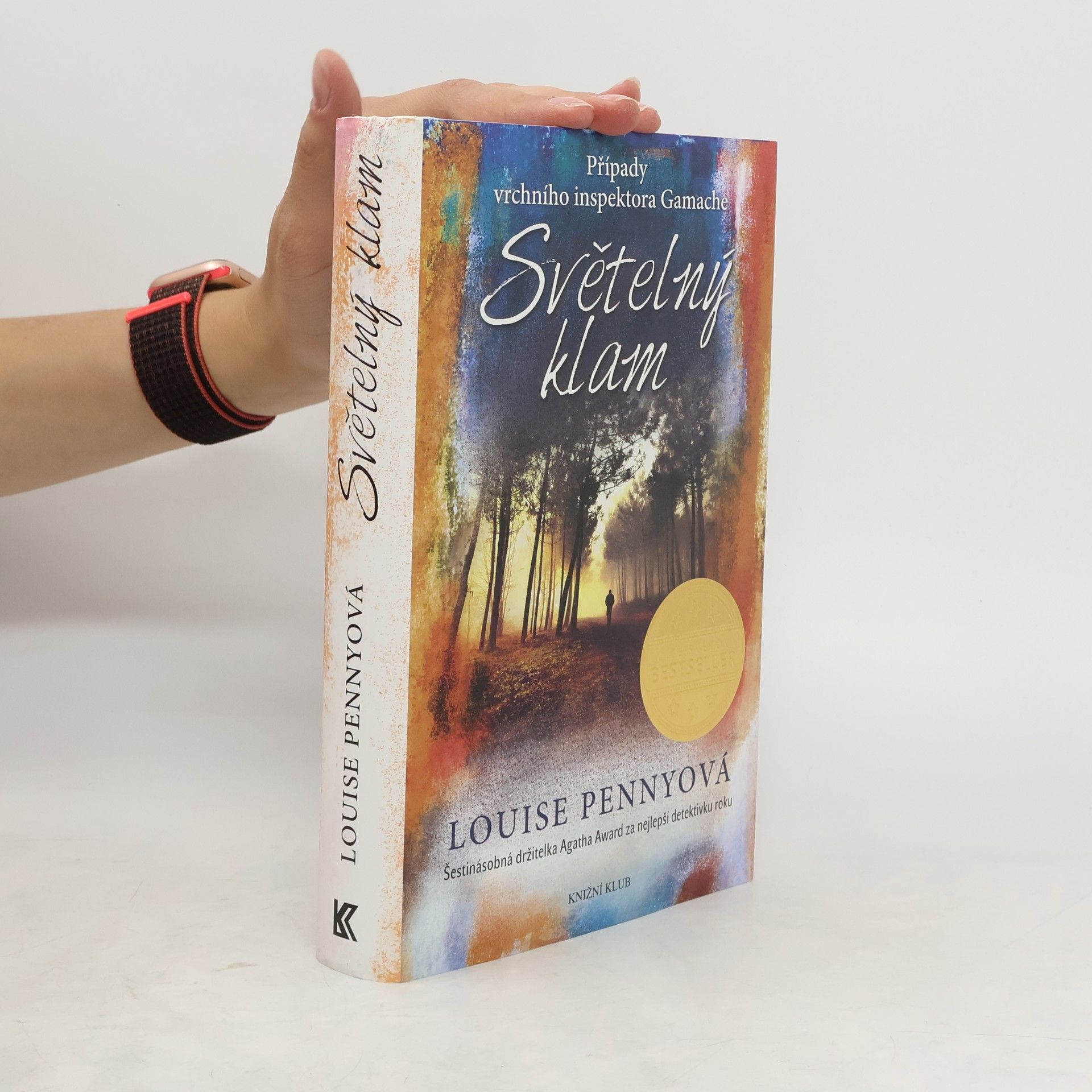 Louise Penny Světelný klam