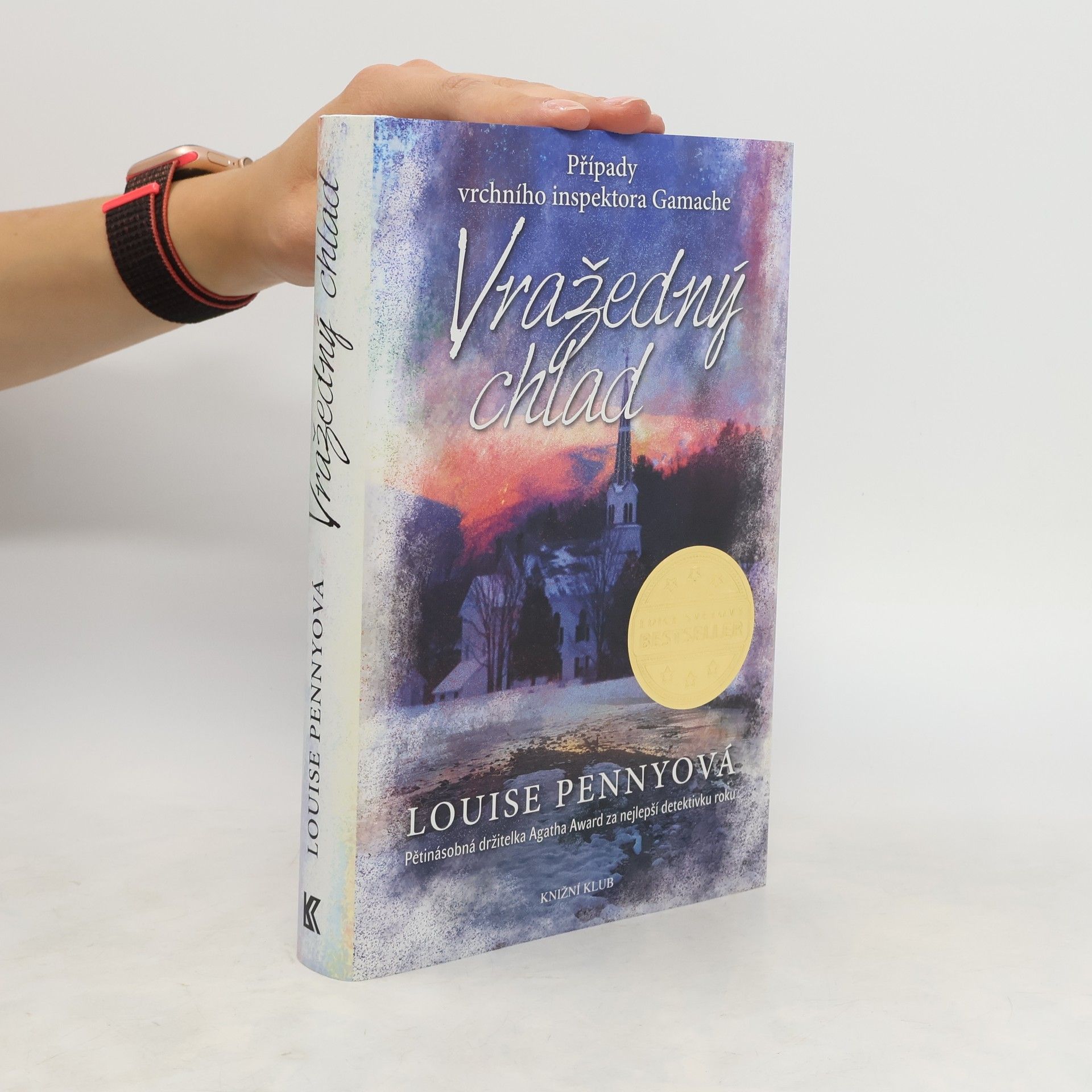 Louise Penny Vražedný chlad