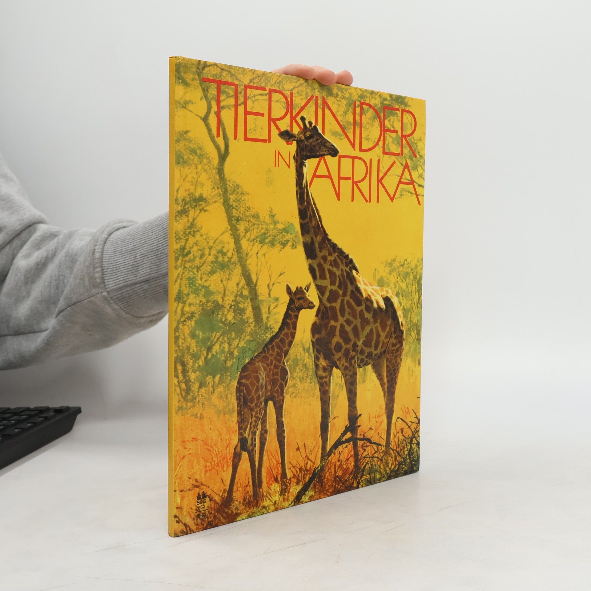 Sandro Nemo Tierkinder in Afrika