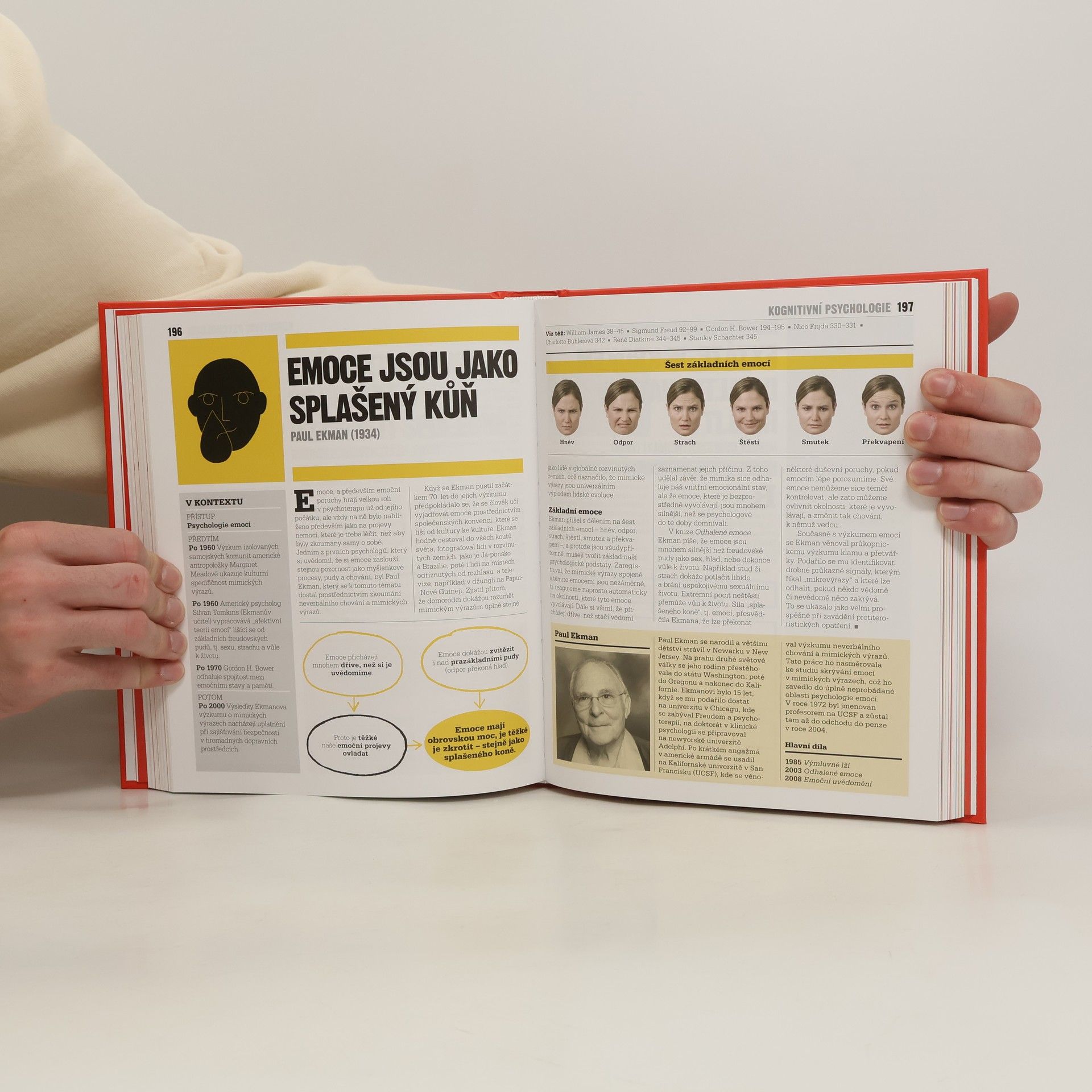 Kolektiv autorů Kniha psychologie