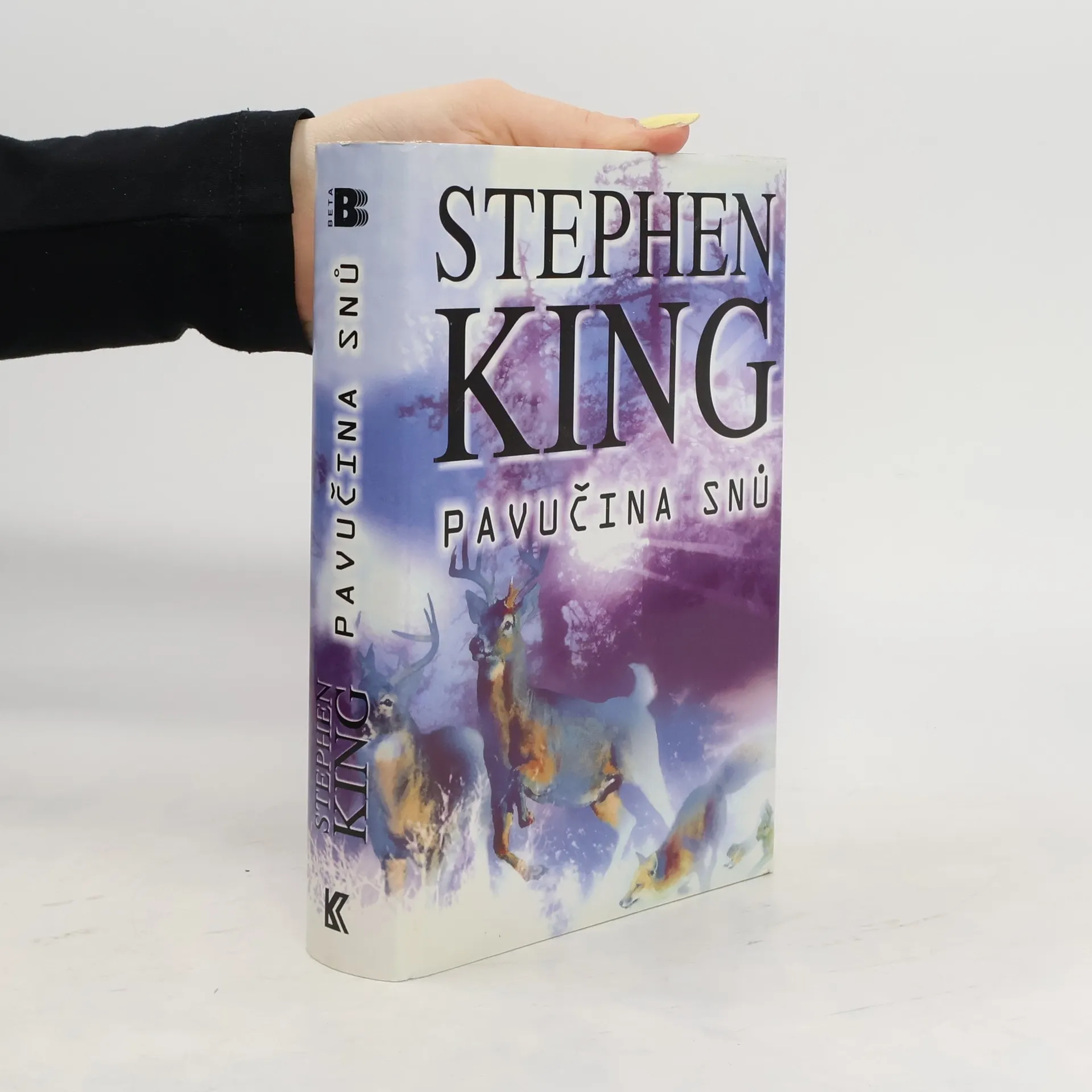 Pavučina snů | Kniha | pevná | Stephen King | CS