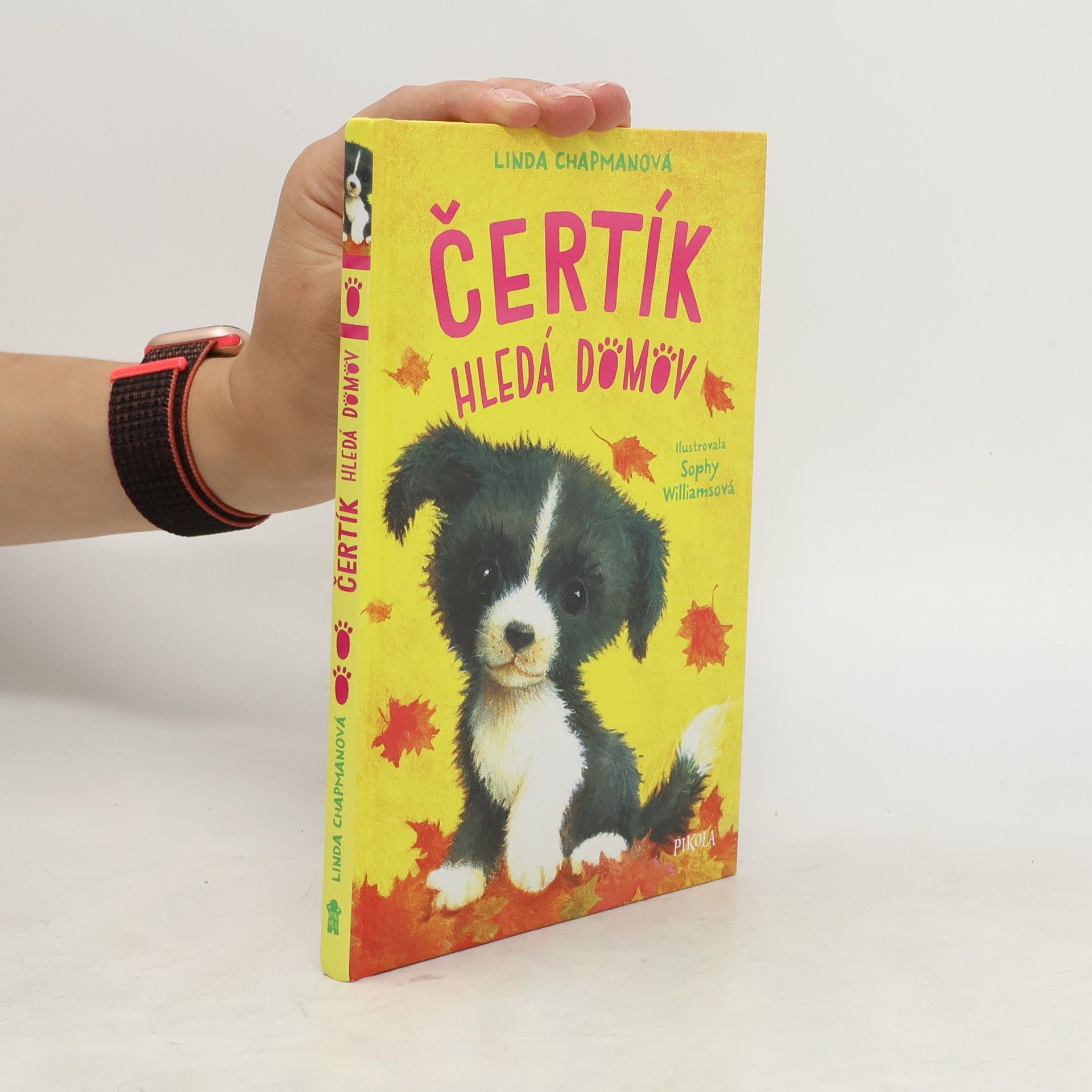 Květa Palowská Čertík hledá domov