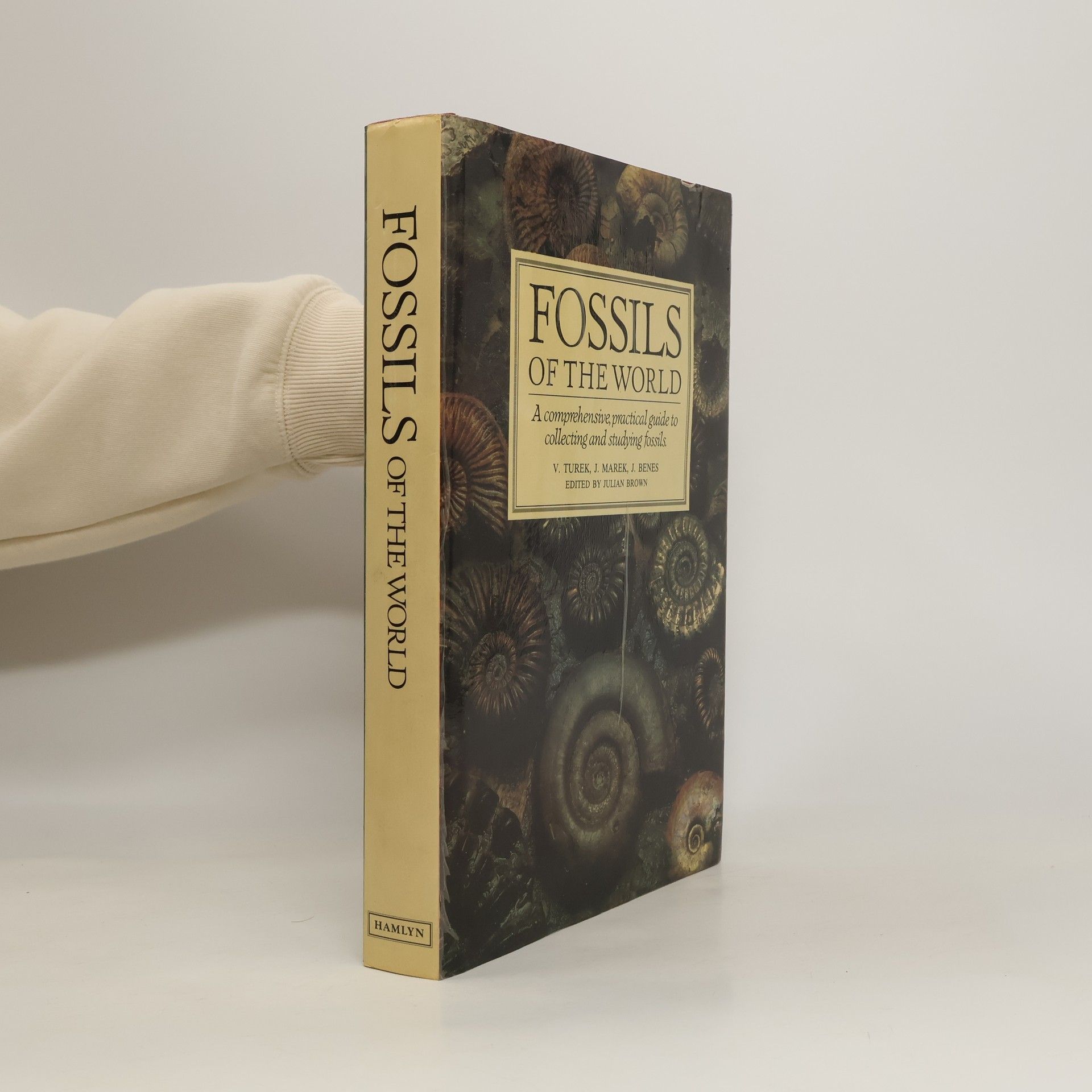 V Turek Fossils of the World