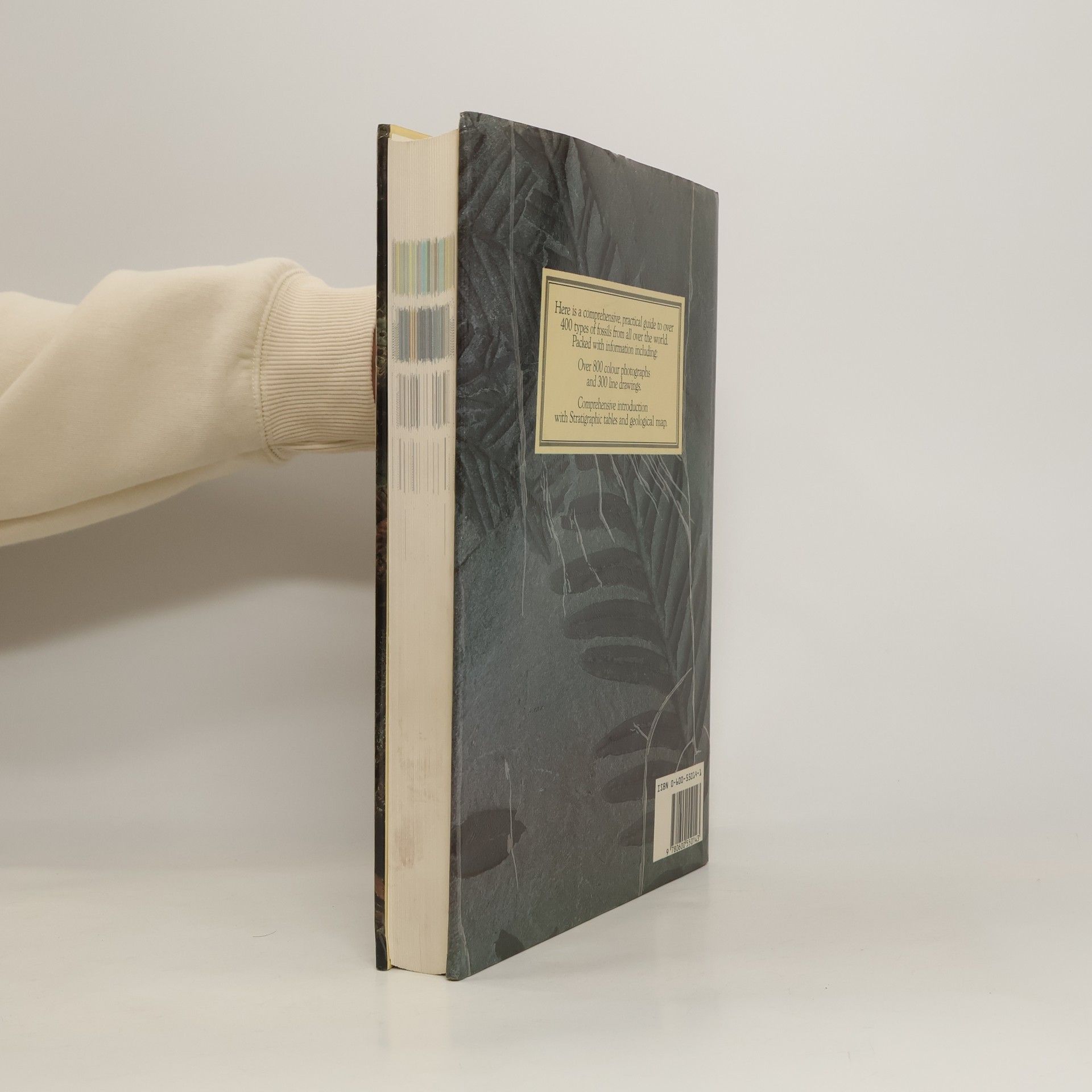 V Turek Fossils of the World