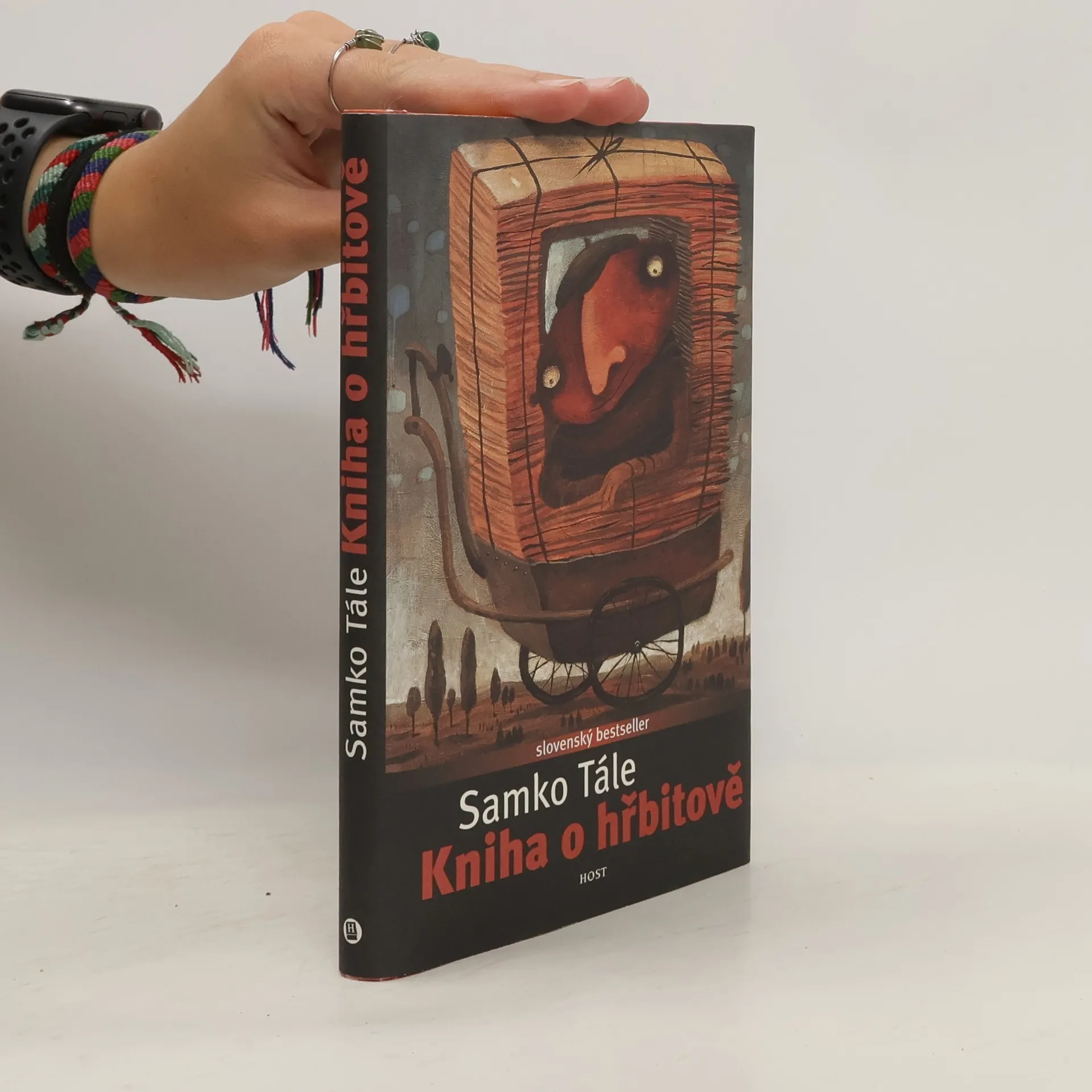 Kniha o hřbitově | Kniha | pevná | Daniela Kapitáňová | CS