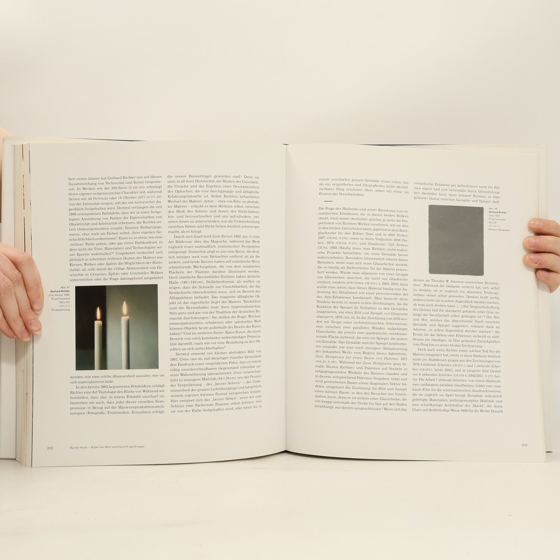 Achim Borchardt-Hume Gerhard Richter, Panorama