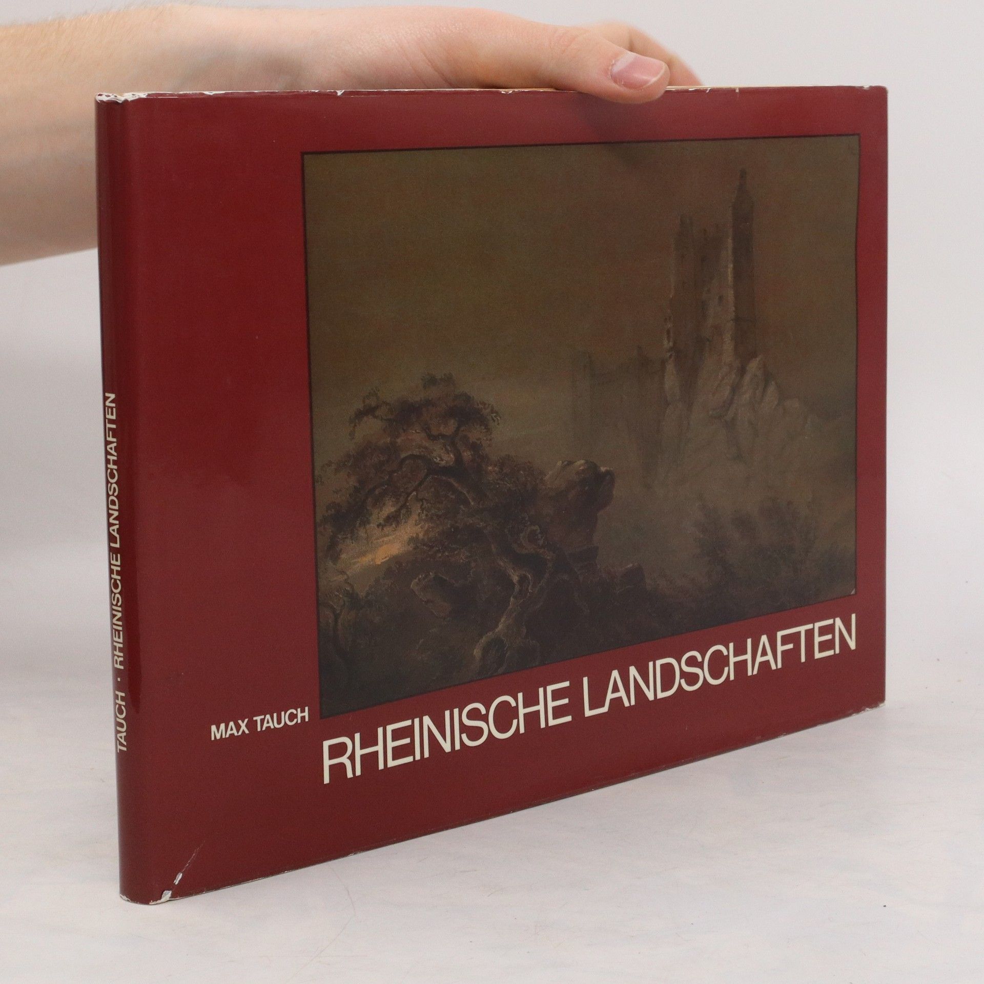 Max Tauch Rheinische Landschaften
