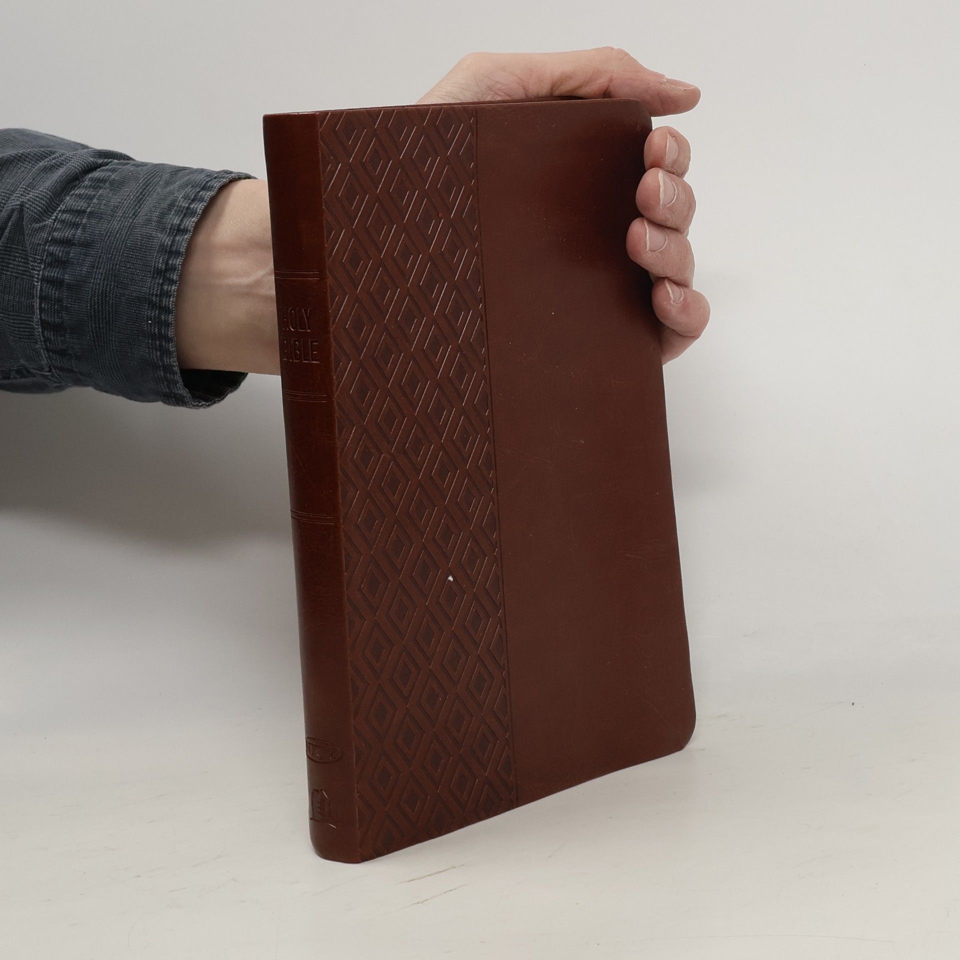 kolektiv The Holy Bible
