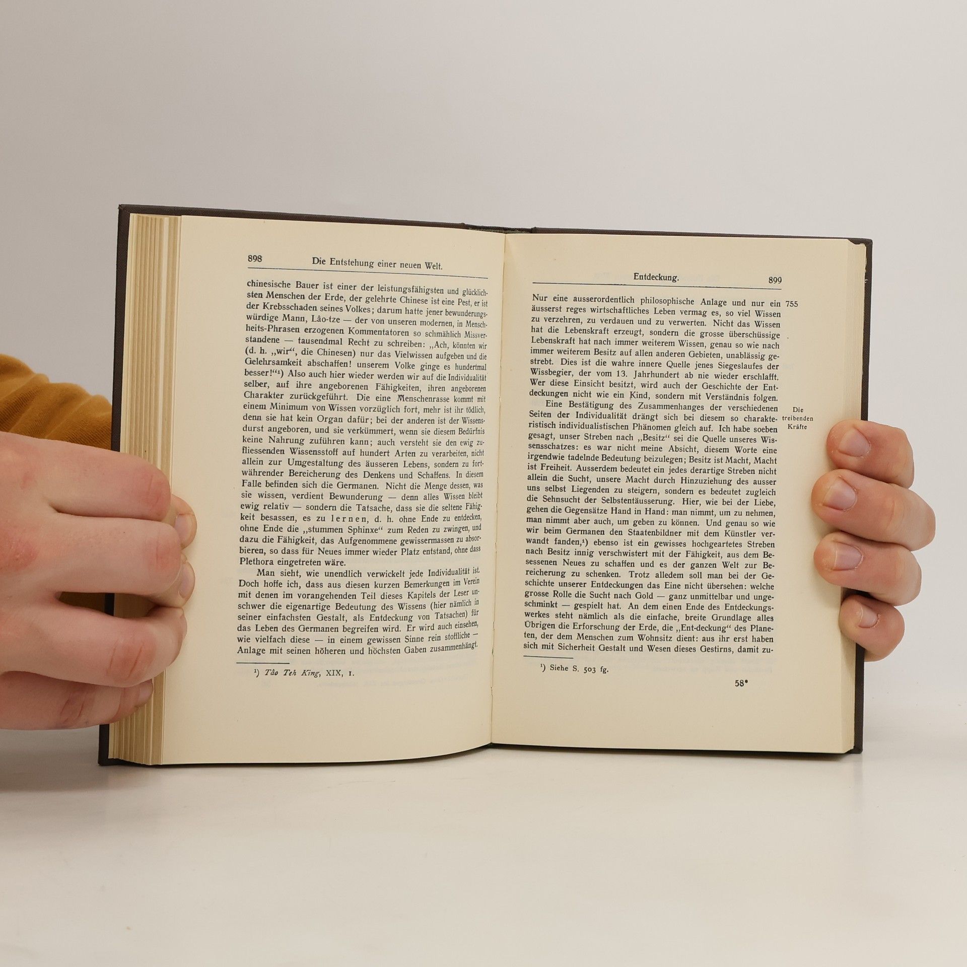 Houston Stewart Chamberlain Die Grundlagen des neunzehnten Jahrhunderts I-II