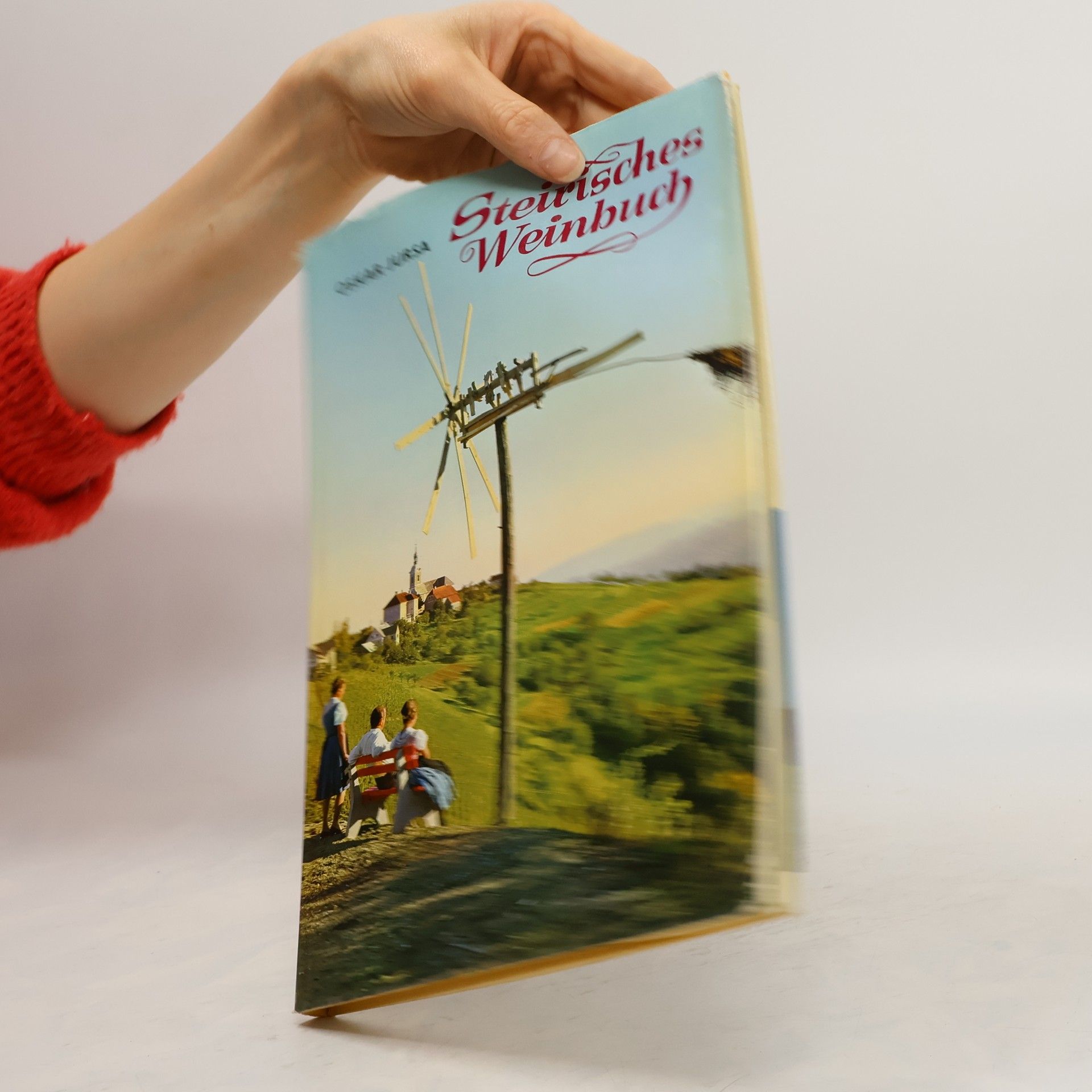 Steirisches Weinbuch