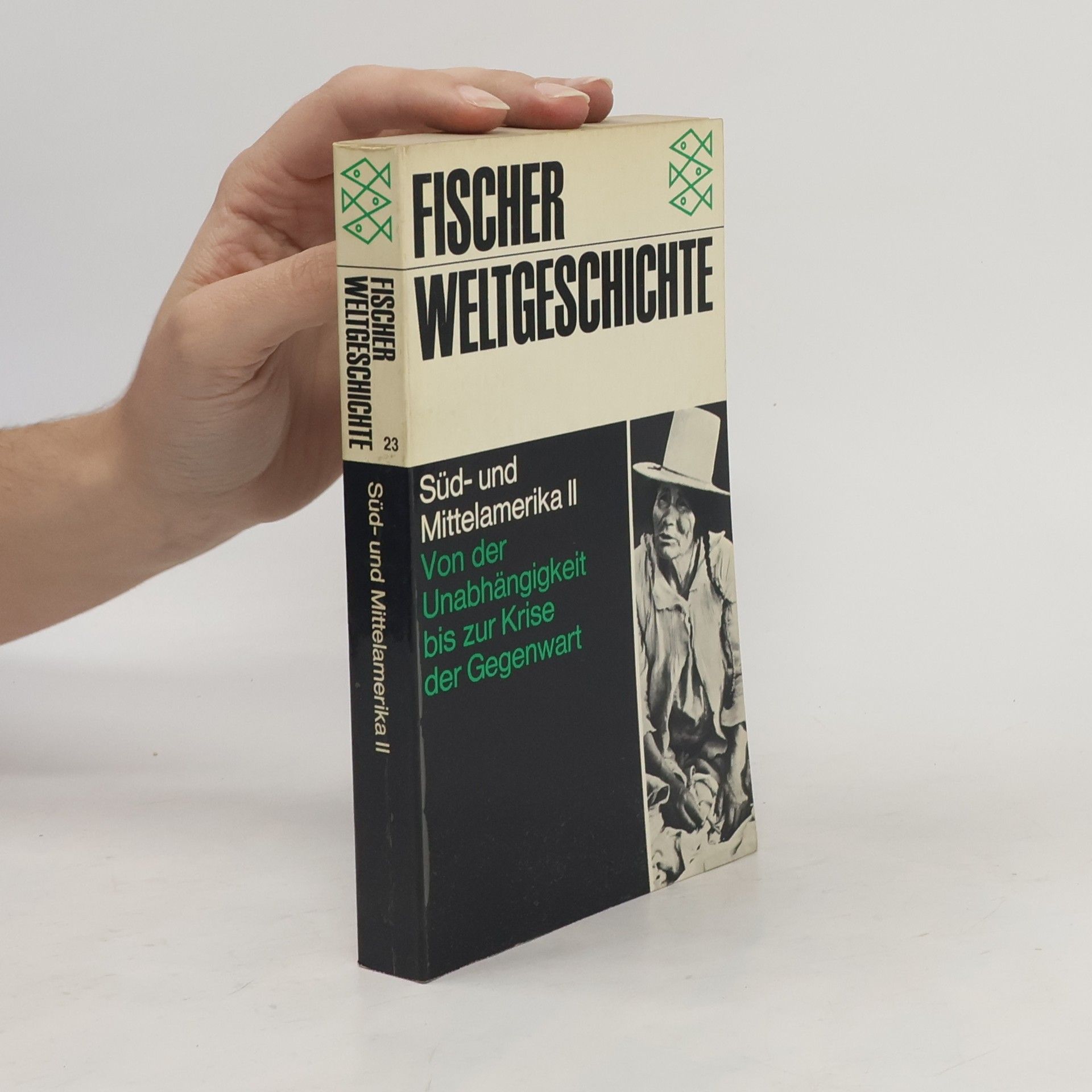 kolektiv Süd- und Mittelamerika. II, Von der Unabhängigkeit bis zur Krise der Gegenwart