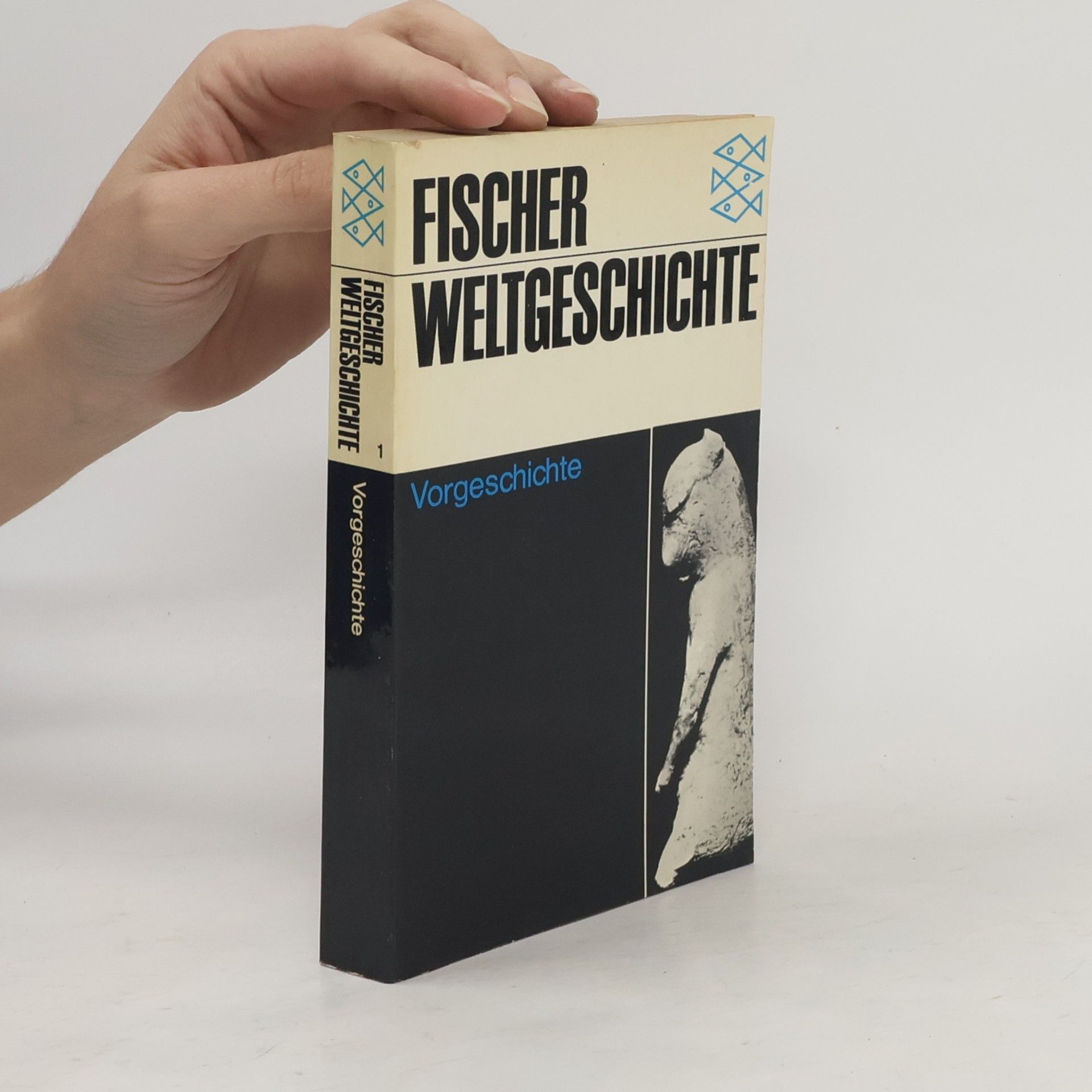Collectif d'auteurs Fischer Weltgeschichte : Vorgeschichte