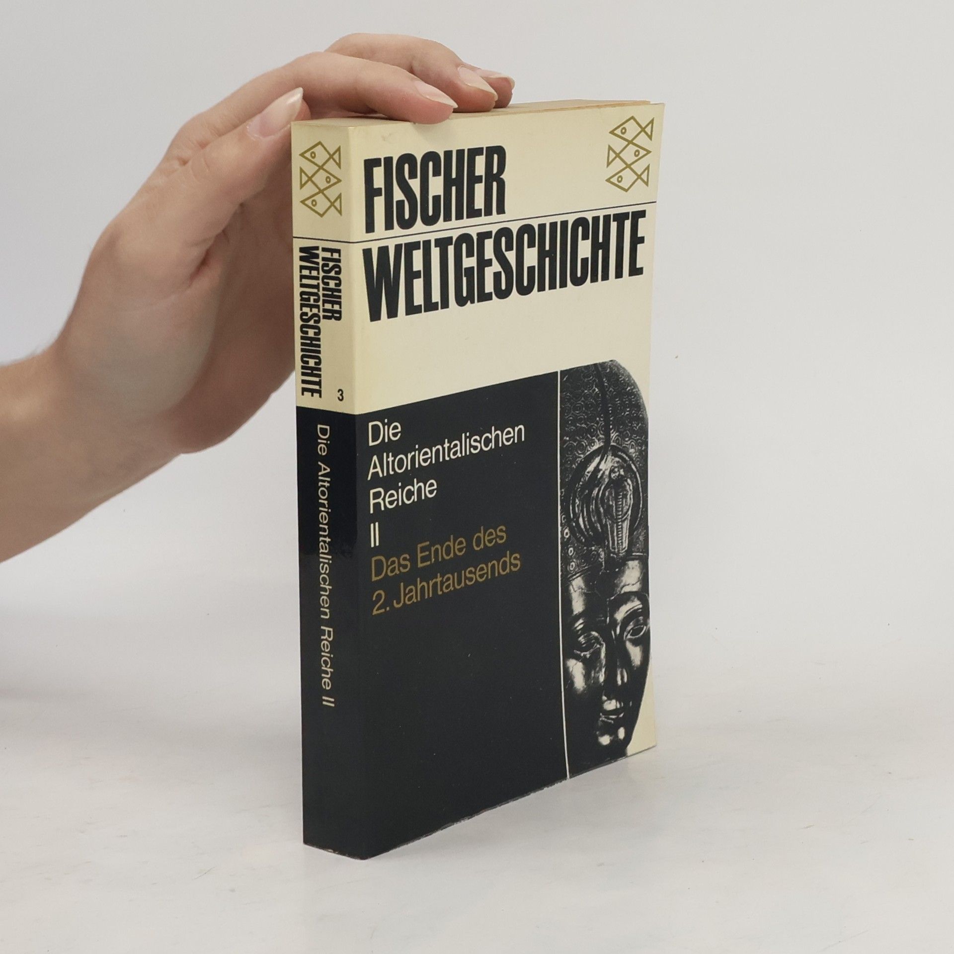 Collectif d'auteurs Weltgeschichte 3. Die altorientalischen Reiche II
