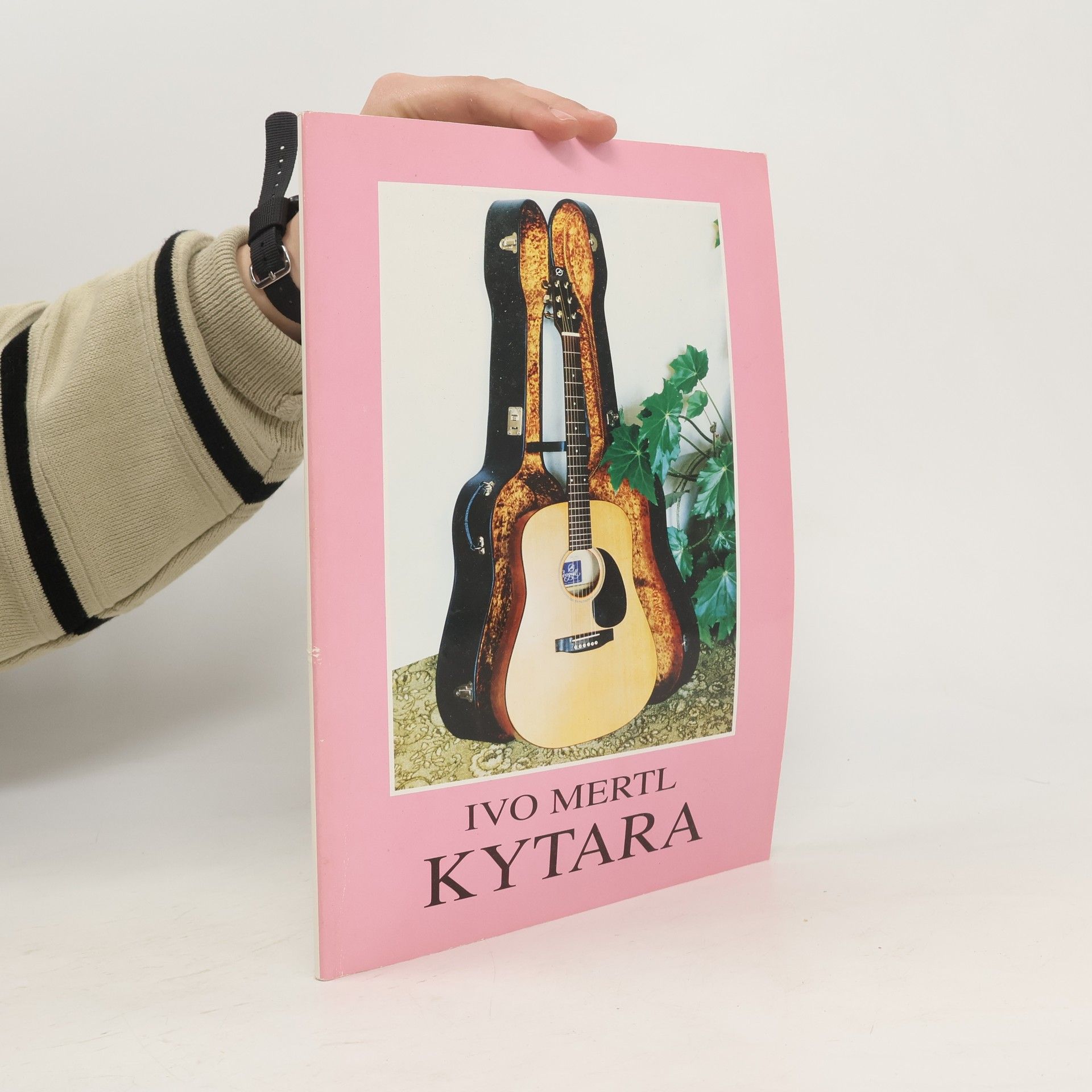 Ivo Mertl Kytara