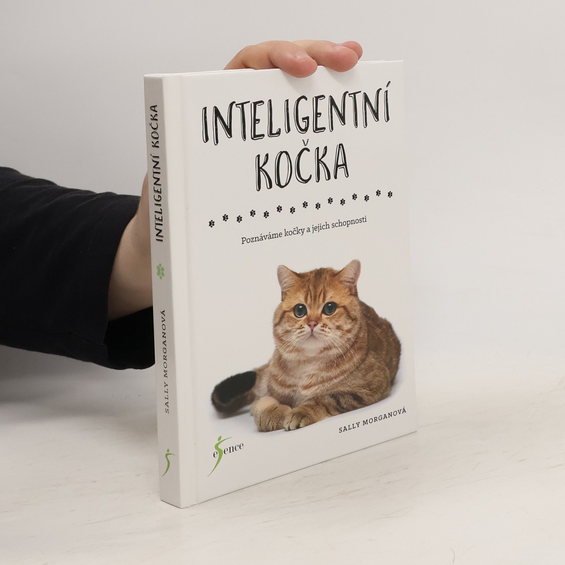 Sally Morgan Inteligentní kočka : poznáváme kočky a jejich schopnosti