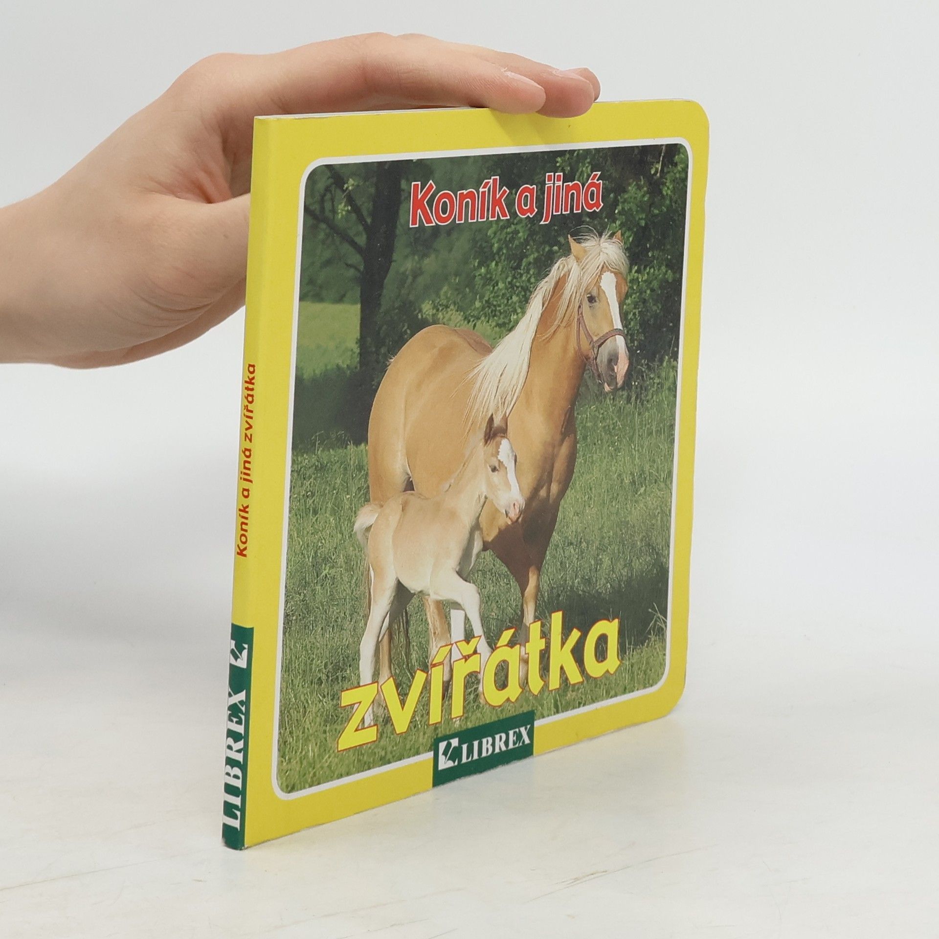 Wolfgang Schleicher Koník a jiná zvířátka