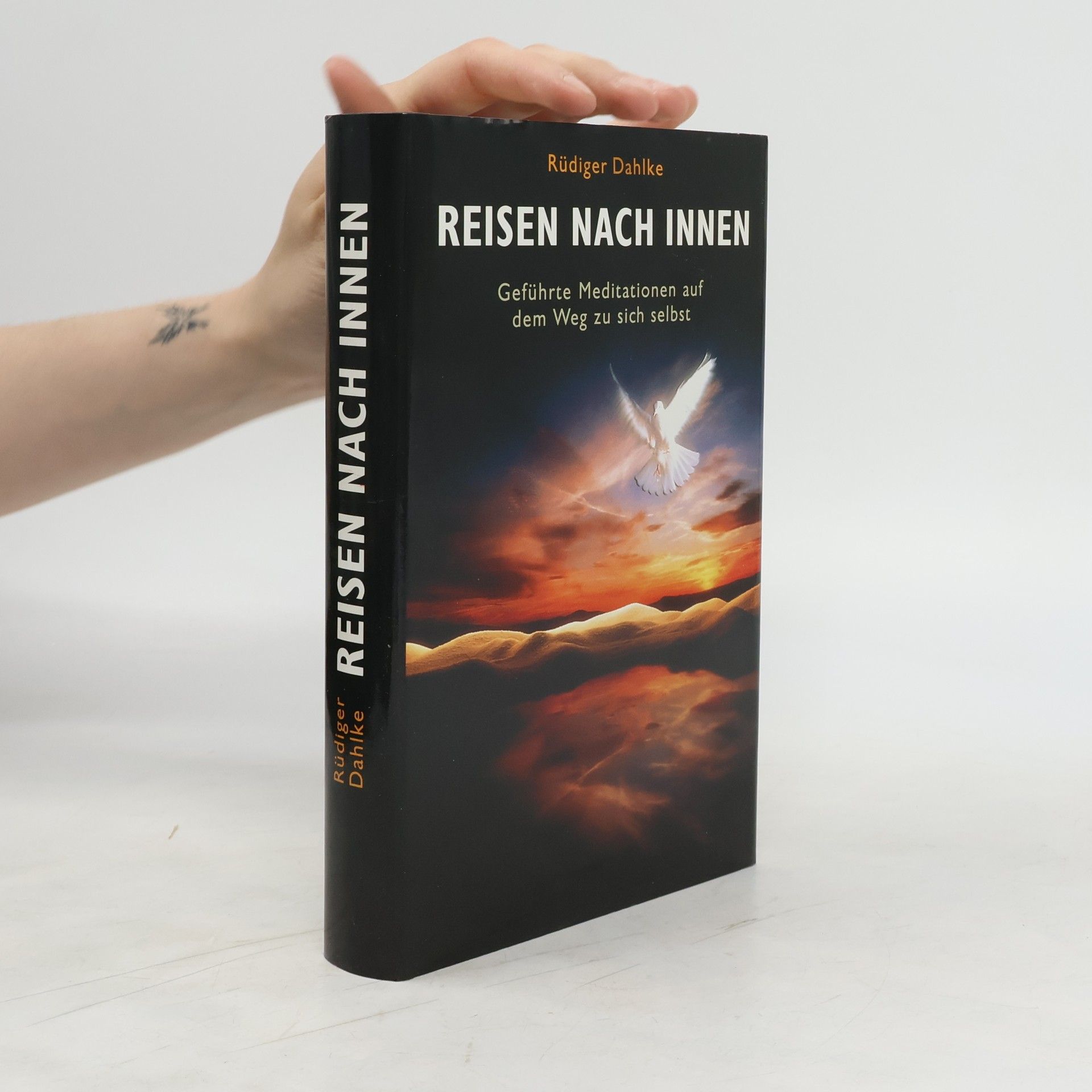 Ruediger Dahlke Reise nach Innen