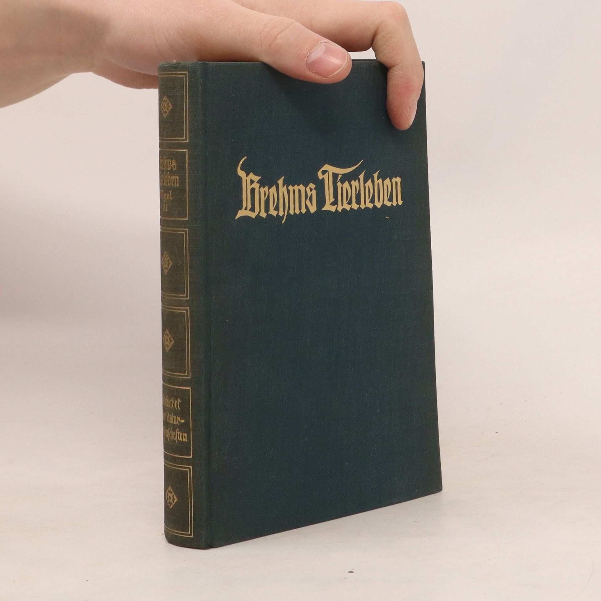 Adolf Meyer Brehms Tierleben. Band 15
