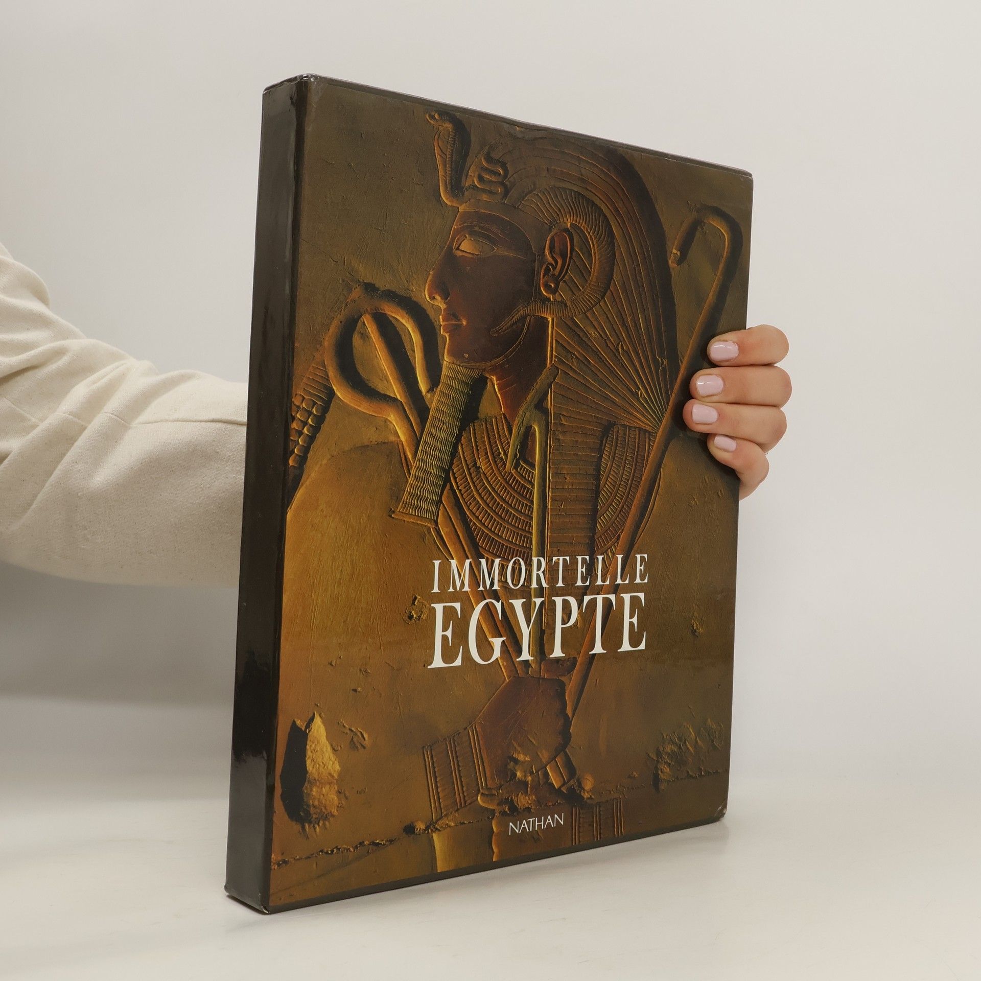Christian Delacampagne Immortelle Egypte