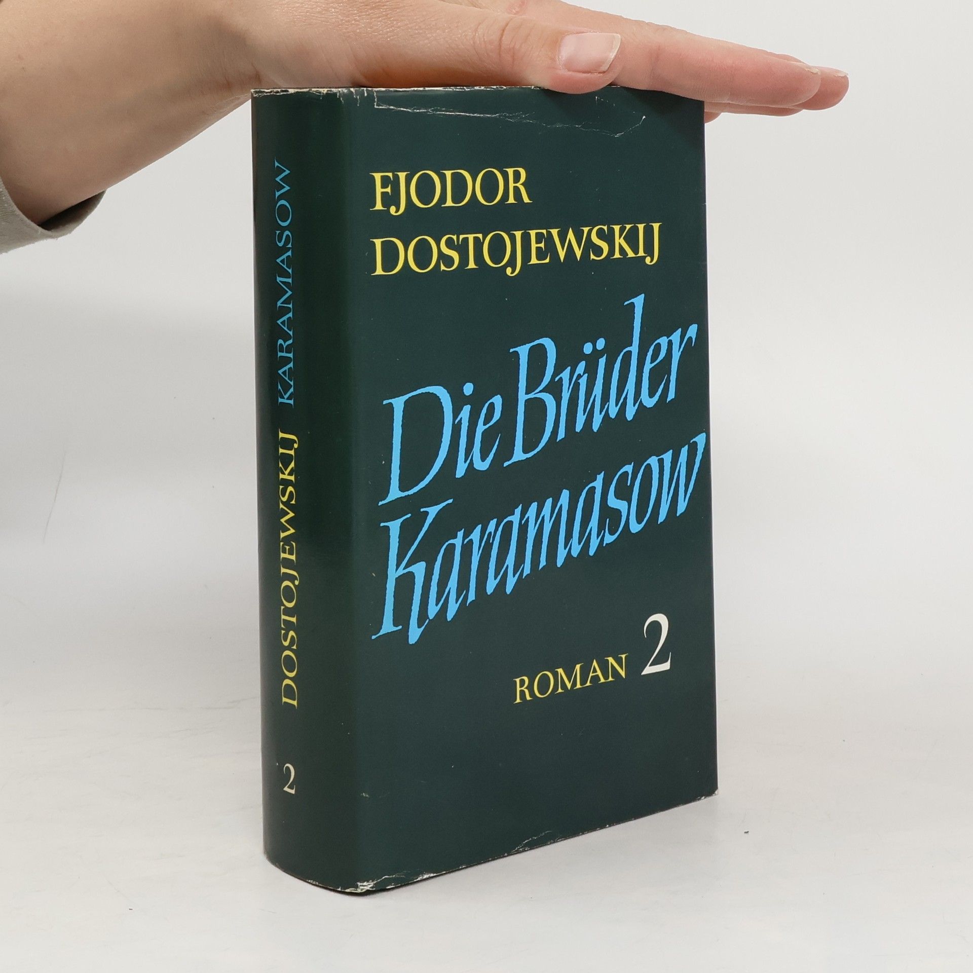 Fjodor Michajlovič Dostojevskij Die Brüder Karamasow 2