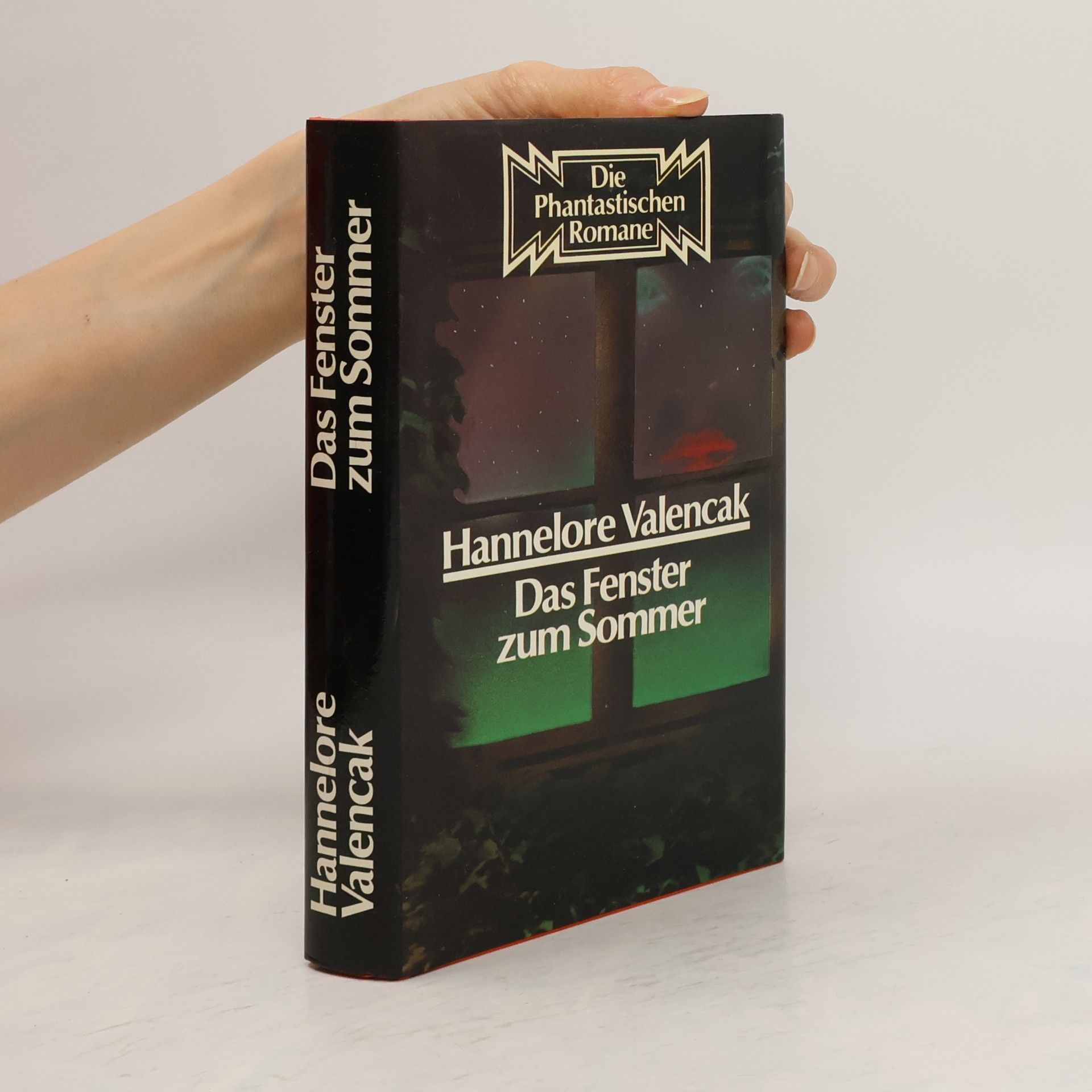 Hannelore Valencak Das Fenster zum Sommer