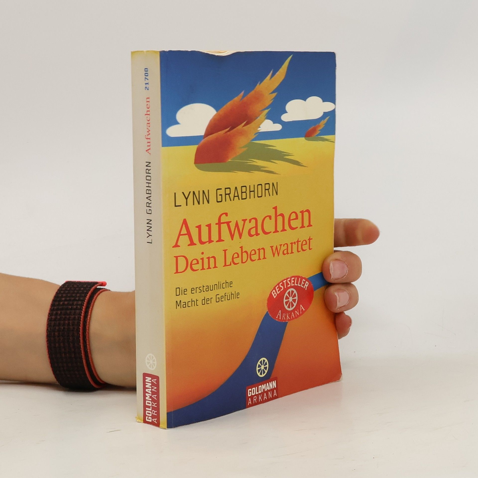 Lynn Grabhorn Aufwachen. Dein Leben wartet