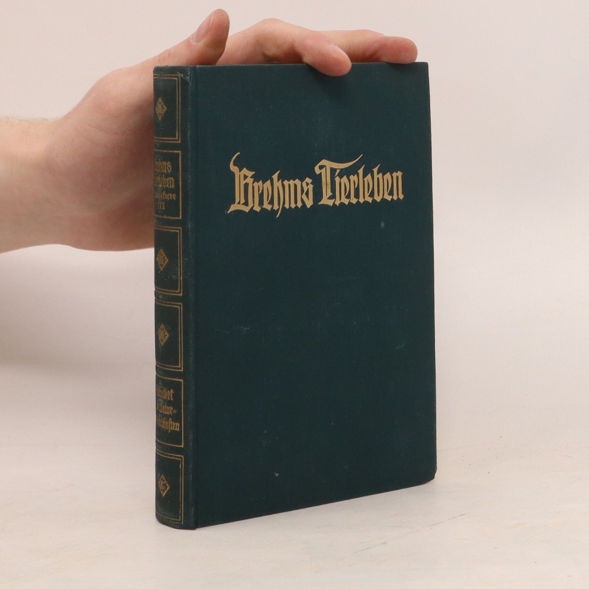 Adolf Meyer Brehms Tierleben. Band 3