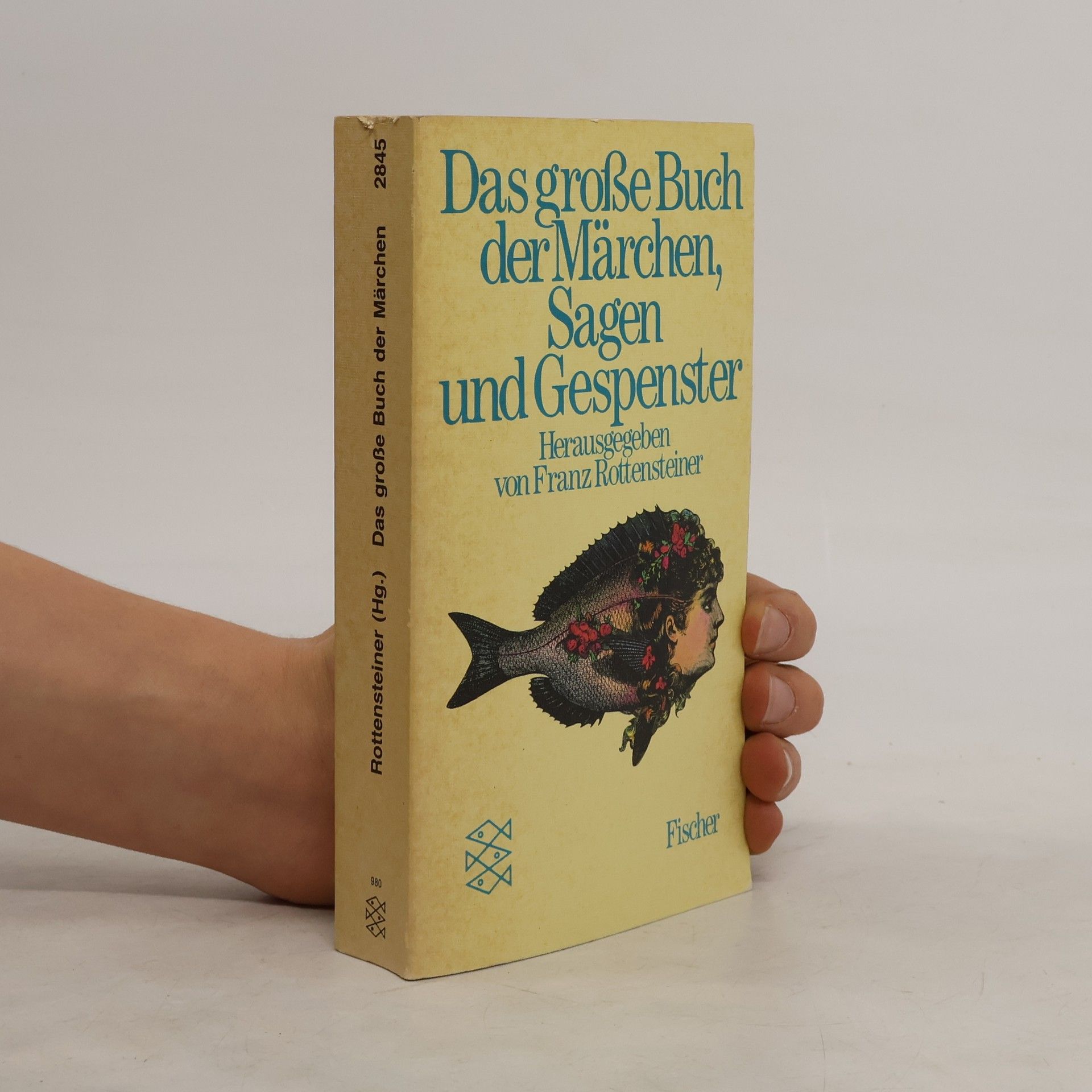 Franz Rottensteiner Das große Buch der Märchen, Sagen und Gespenster.