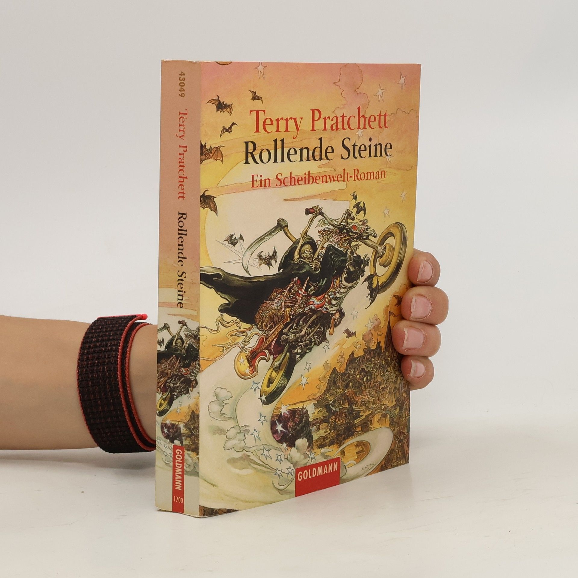 Terry Pratchett Rollende Steine