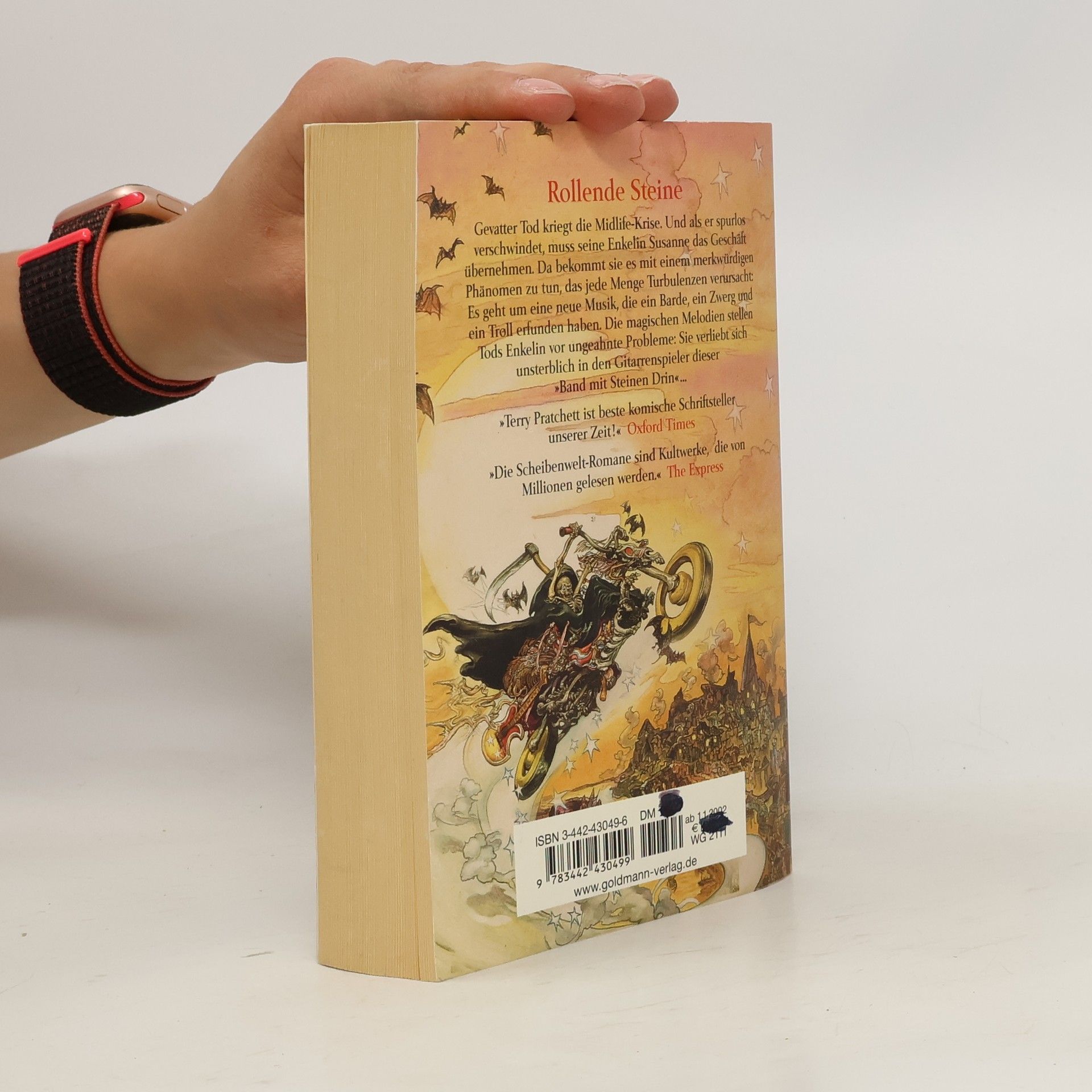 Terry Pratchett Rollende Steine