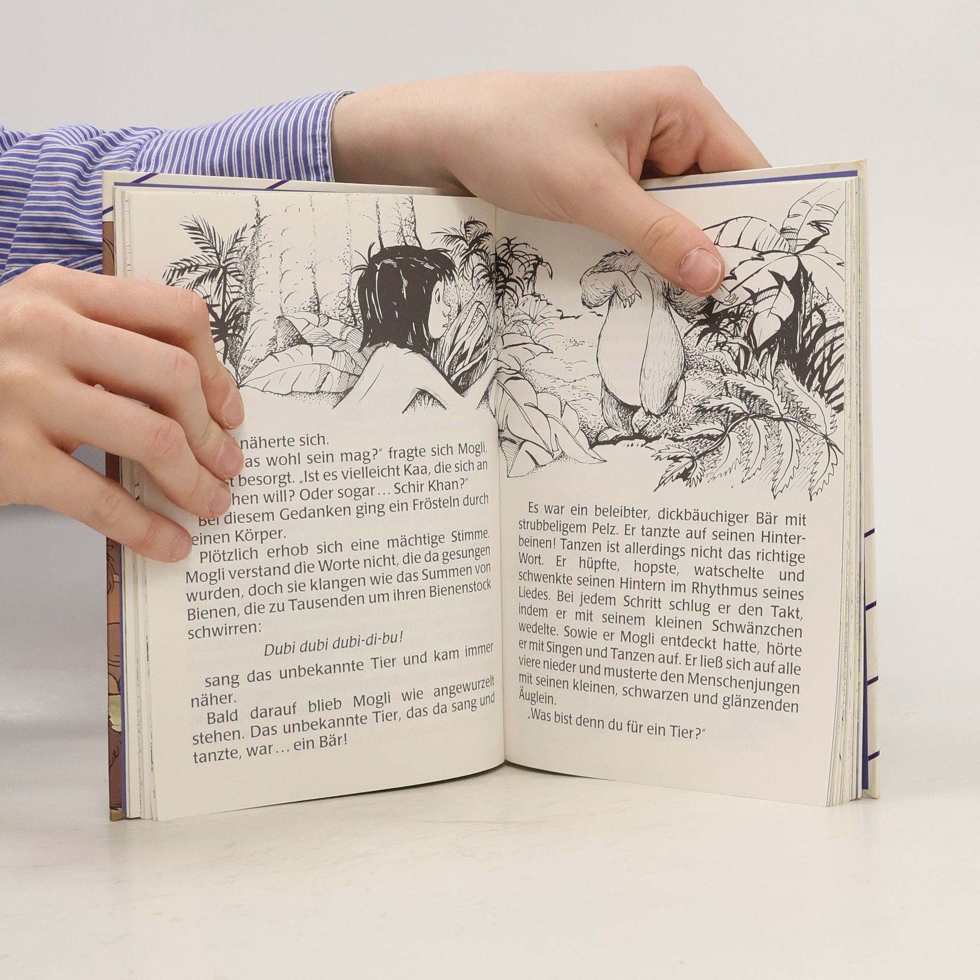 Autorenkollektiv Das Dschungelbuch