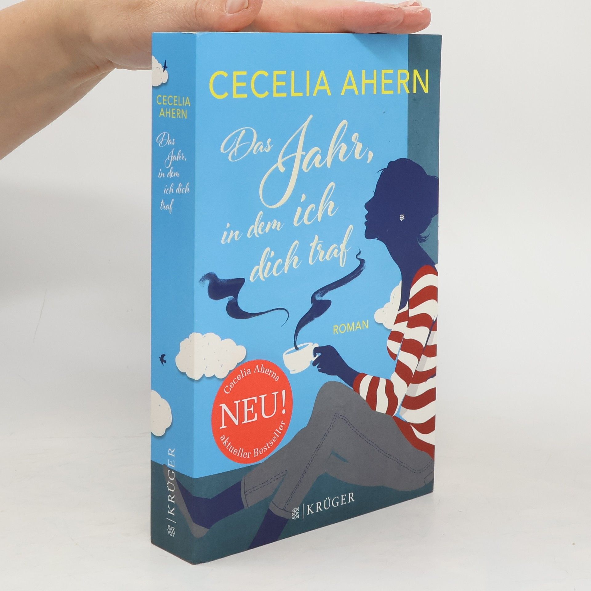 Cecelia Ahern Das Jahr, in dem ich dich traf