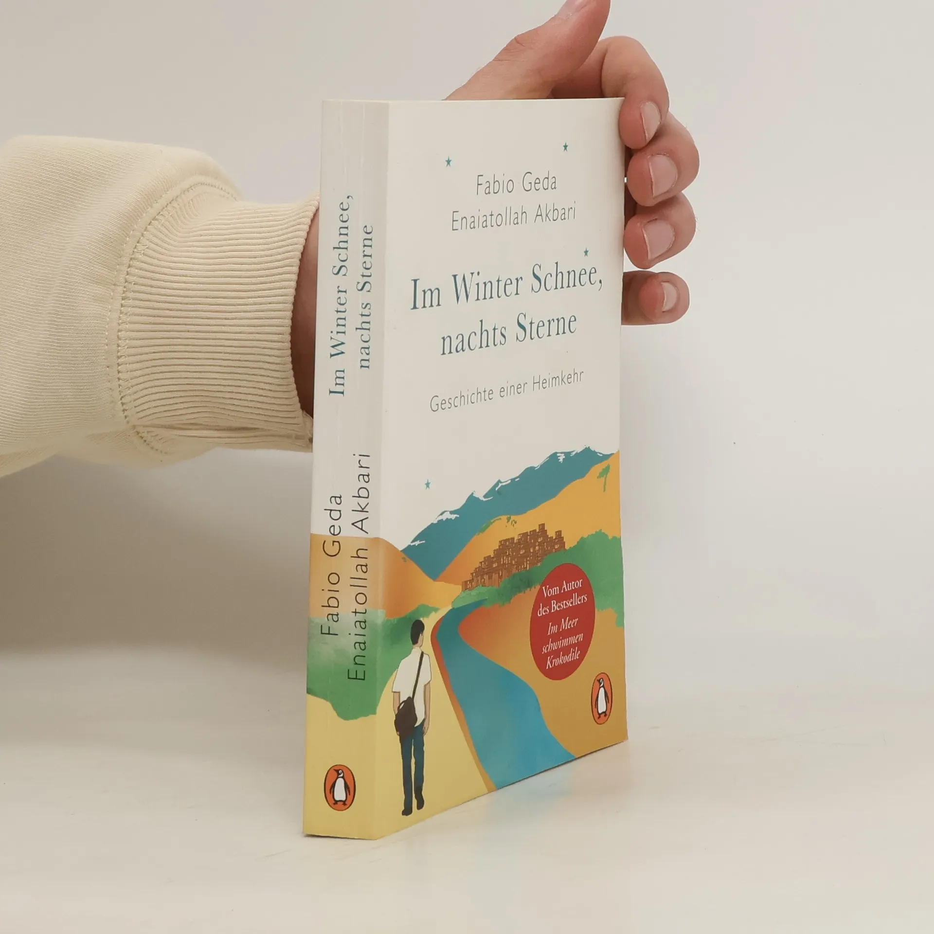 Im Winter Schnee, nachts Sterne. Geschichte einer Heimkehr | Libro | Fabio Geda | DE