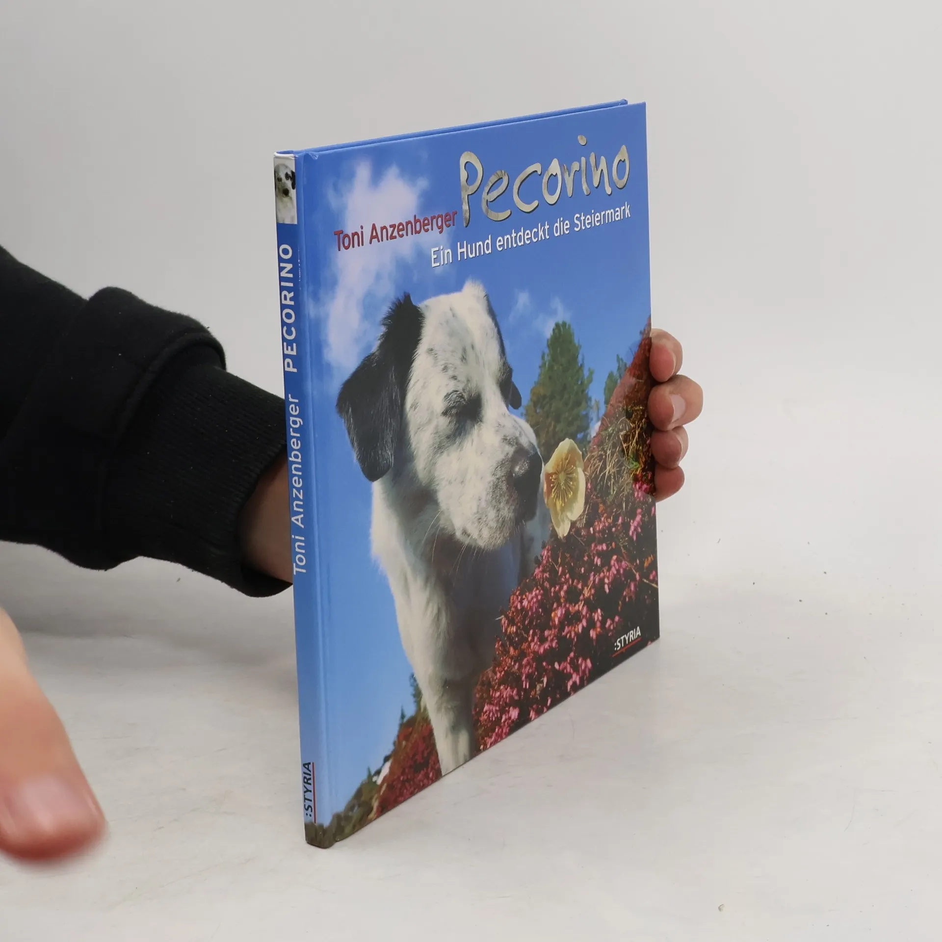 Pecorino | Buch | Toni Anzenberger