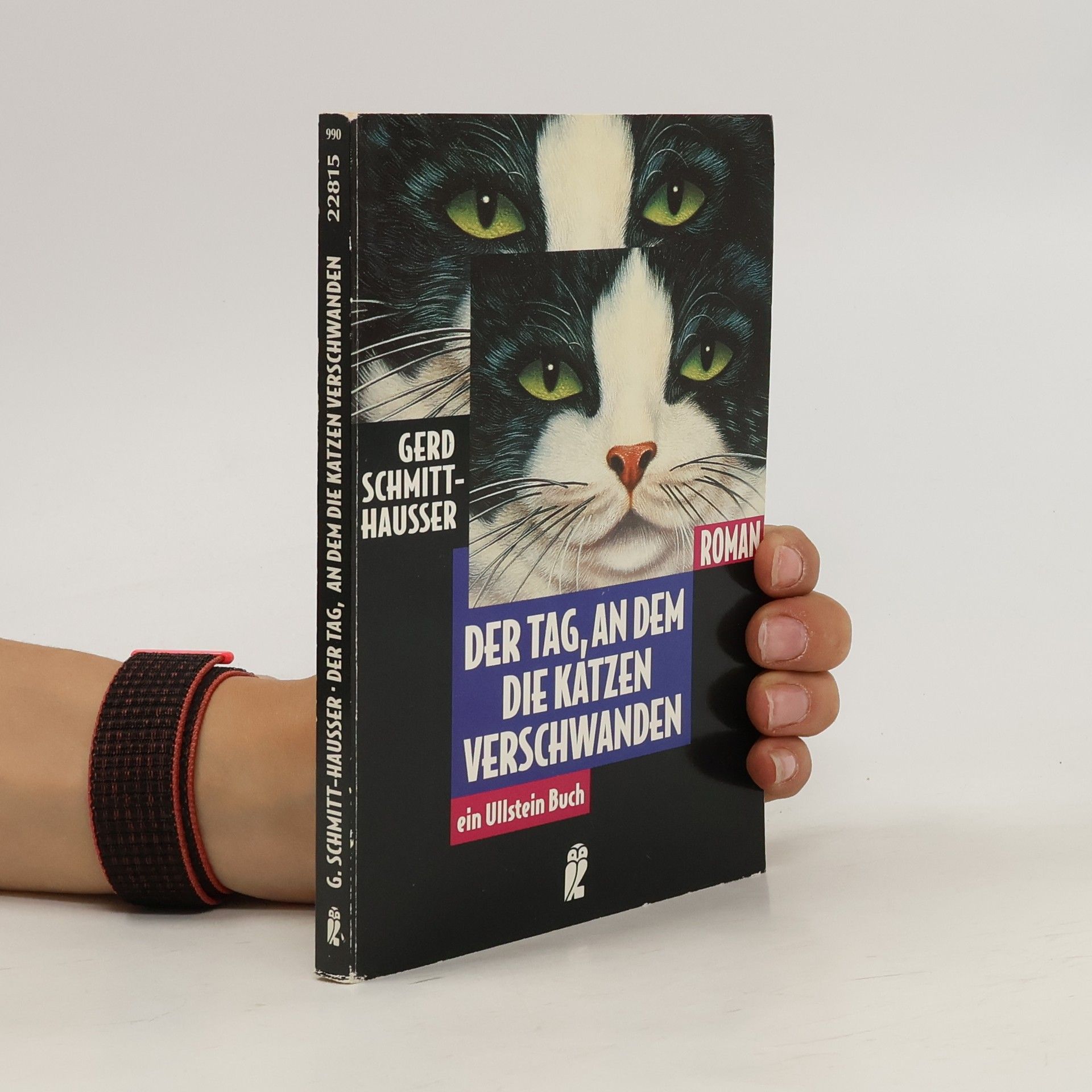 Gerd Schmitt Der Tag, an dem die Katzen verschwanden