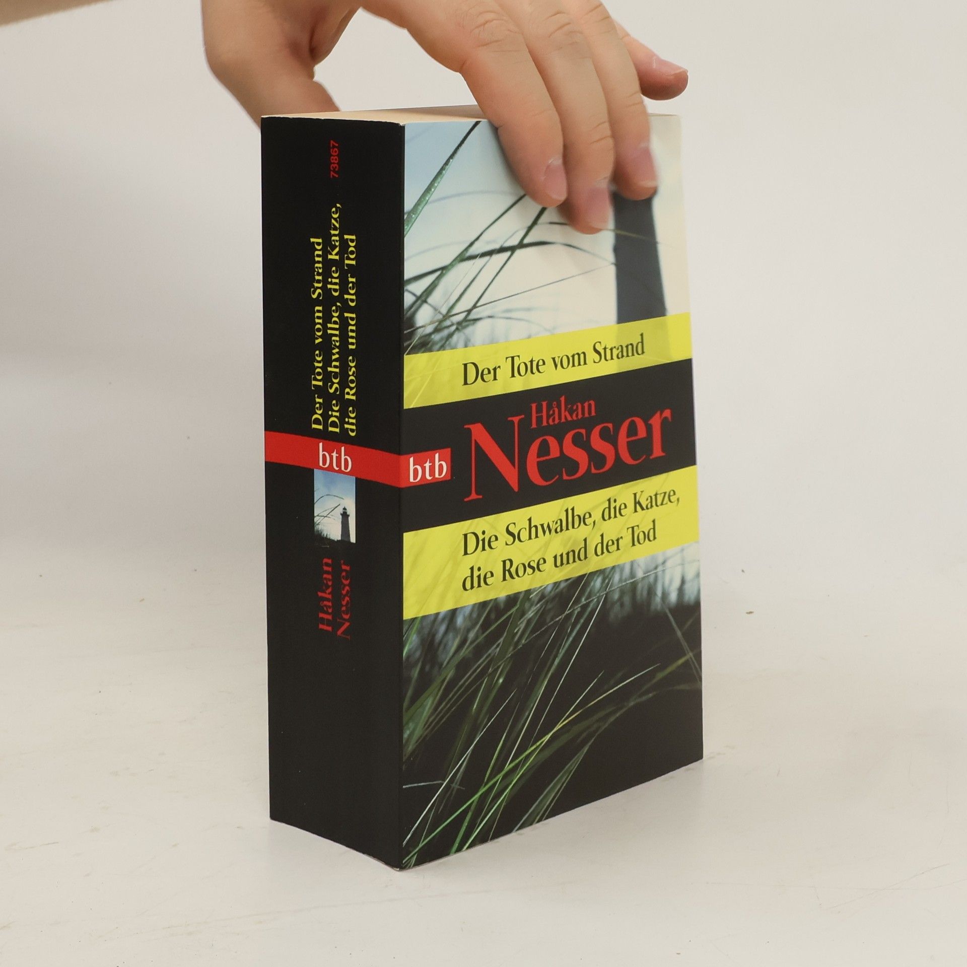 Hakan Nesser Der Tote vom Strand