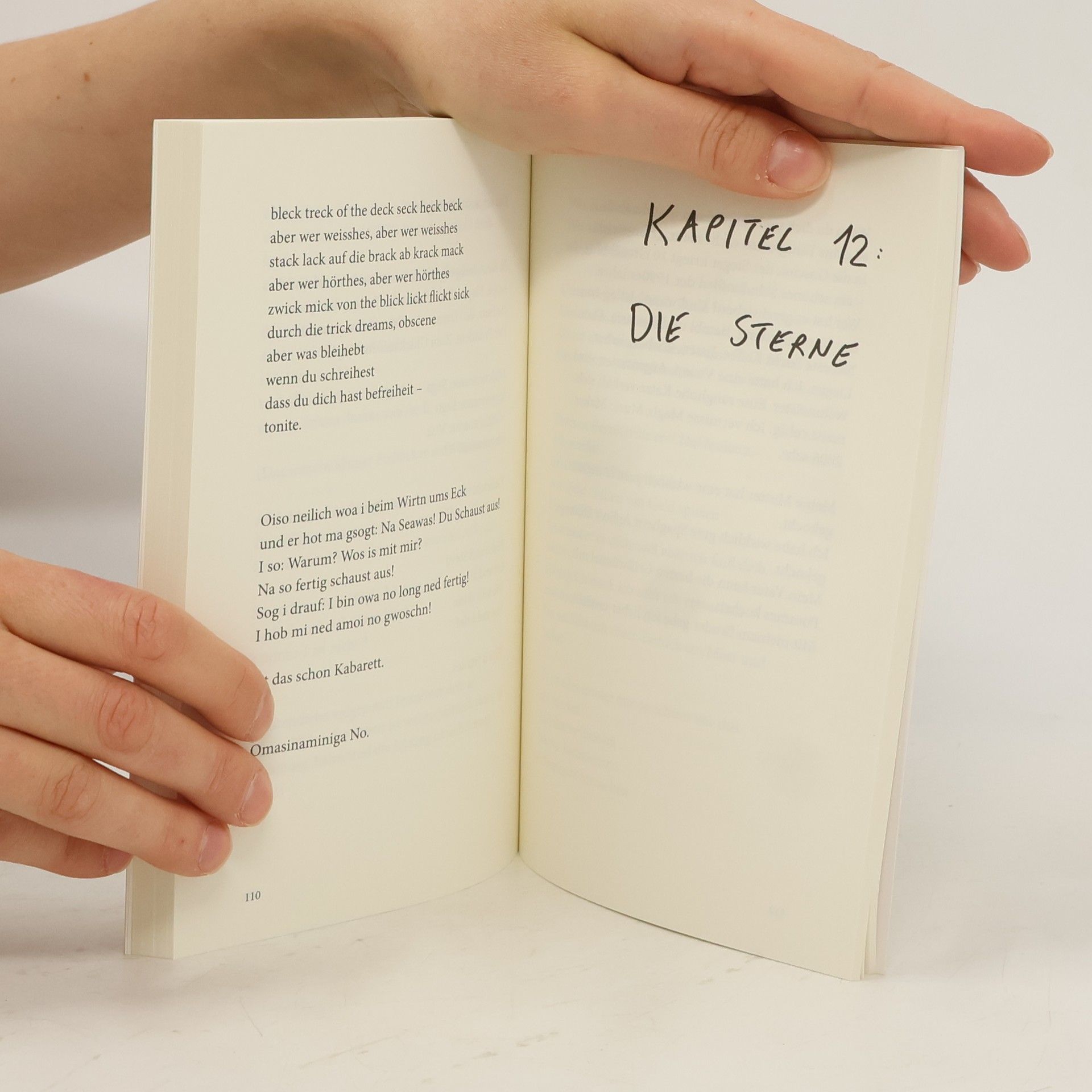 Nino aus WIen Kochbuch