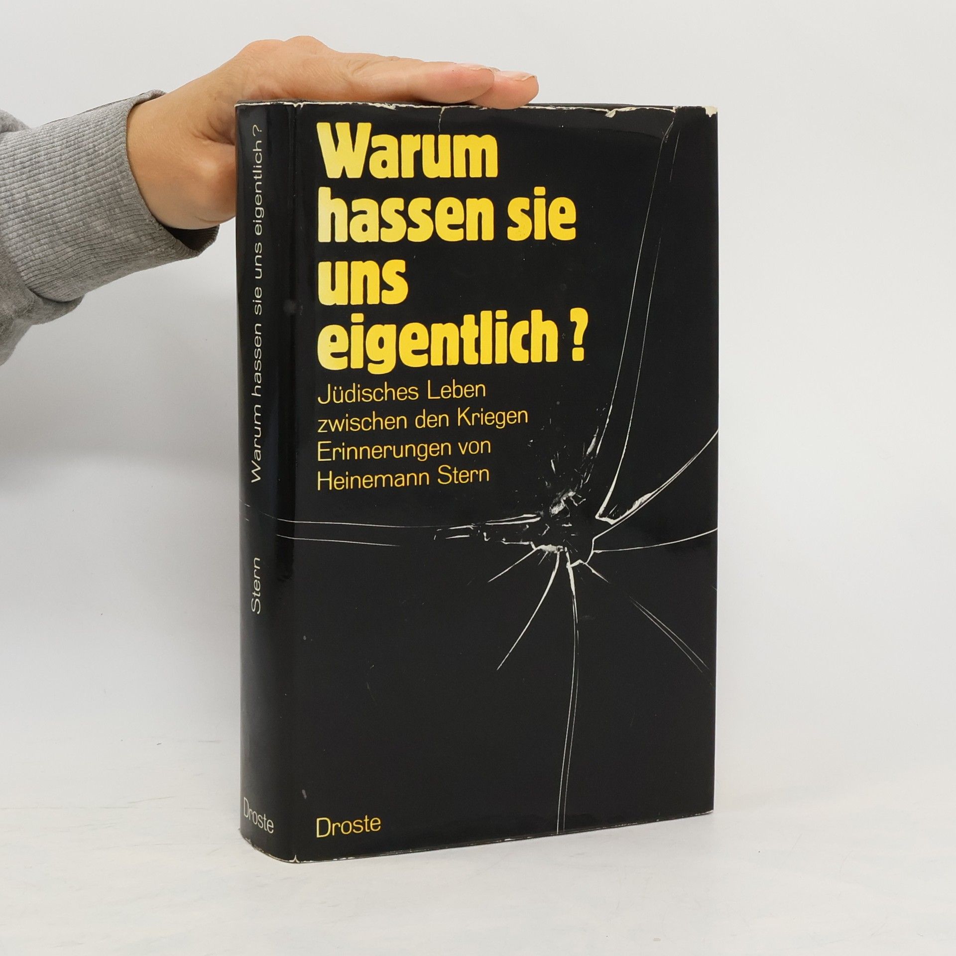 Autorenkollektiv Warum hassen sie uns eigentlich?