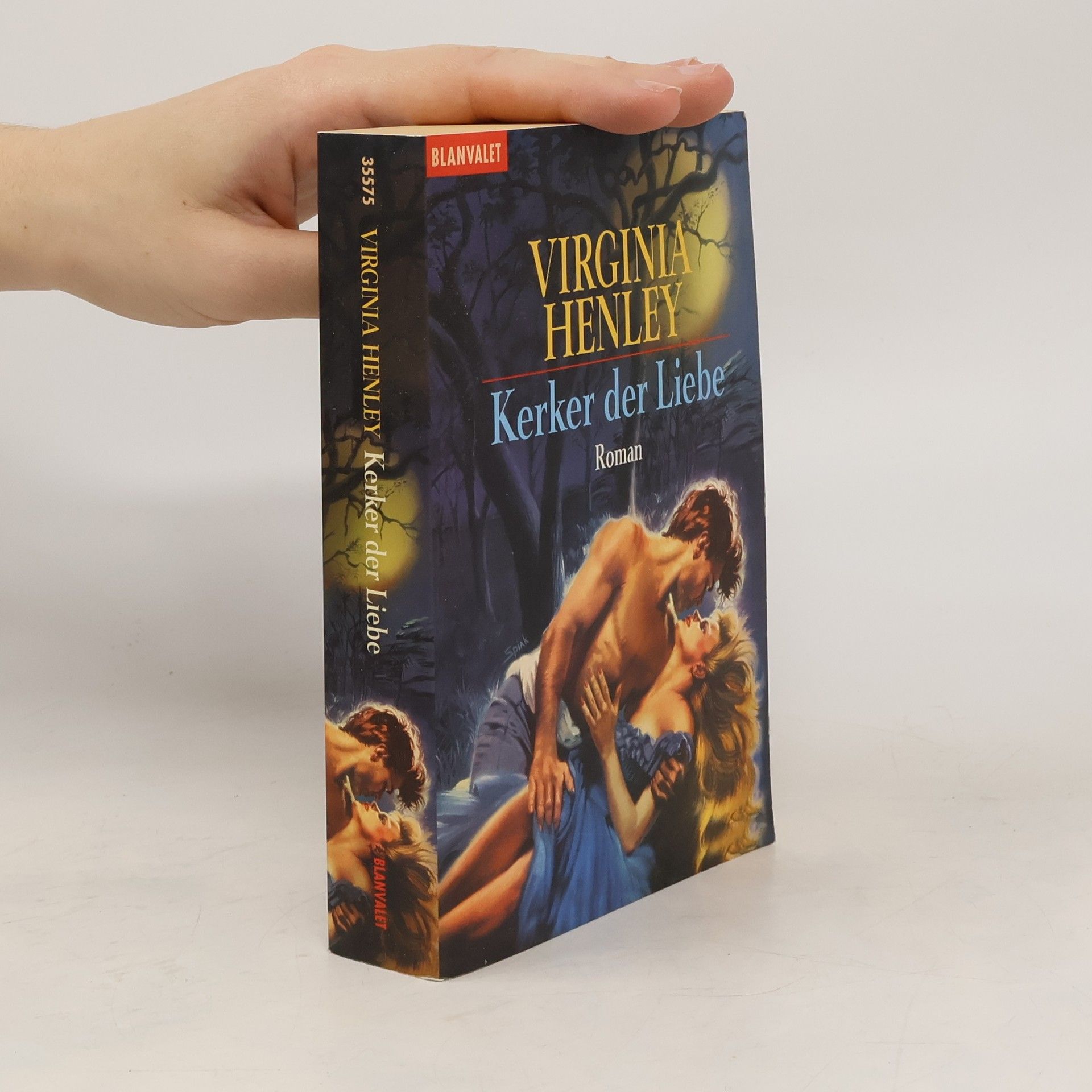 Virginia Henley Kerker der Liebe