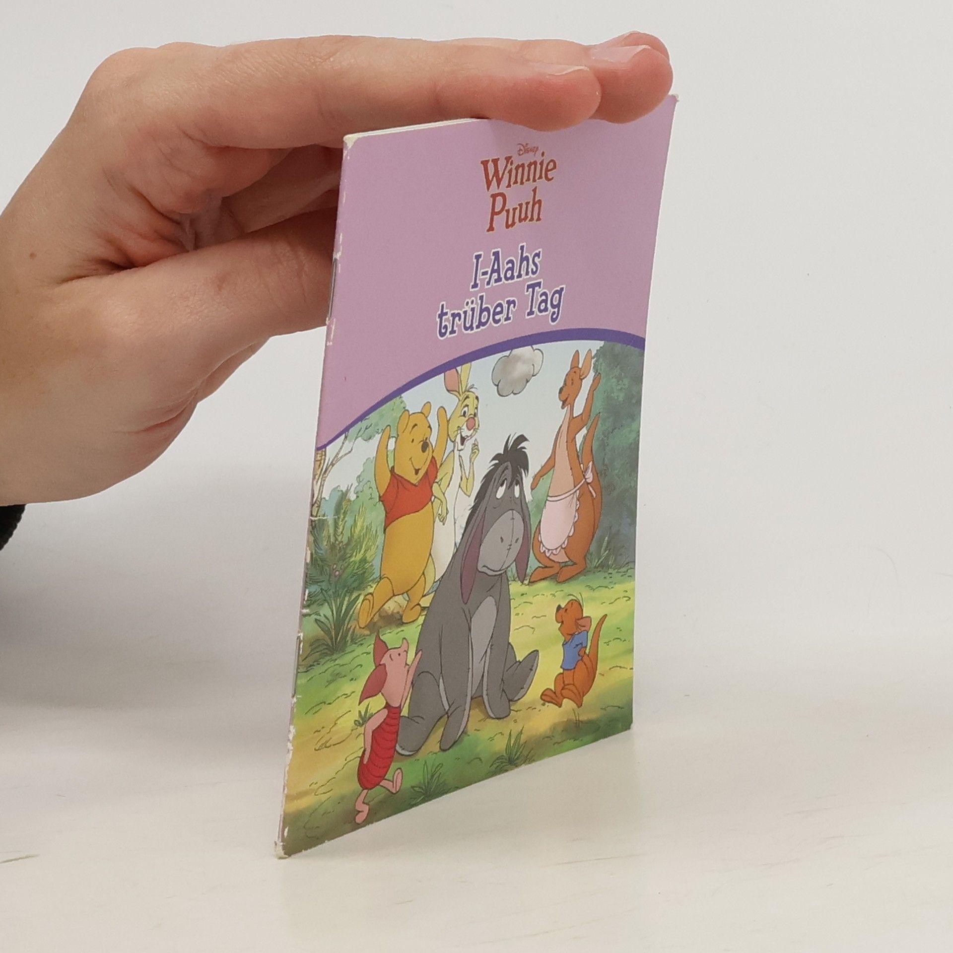 Autorenkollektiv Winnie Puh I-Aahs trüber Tag