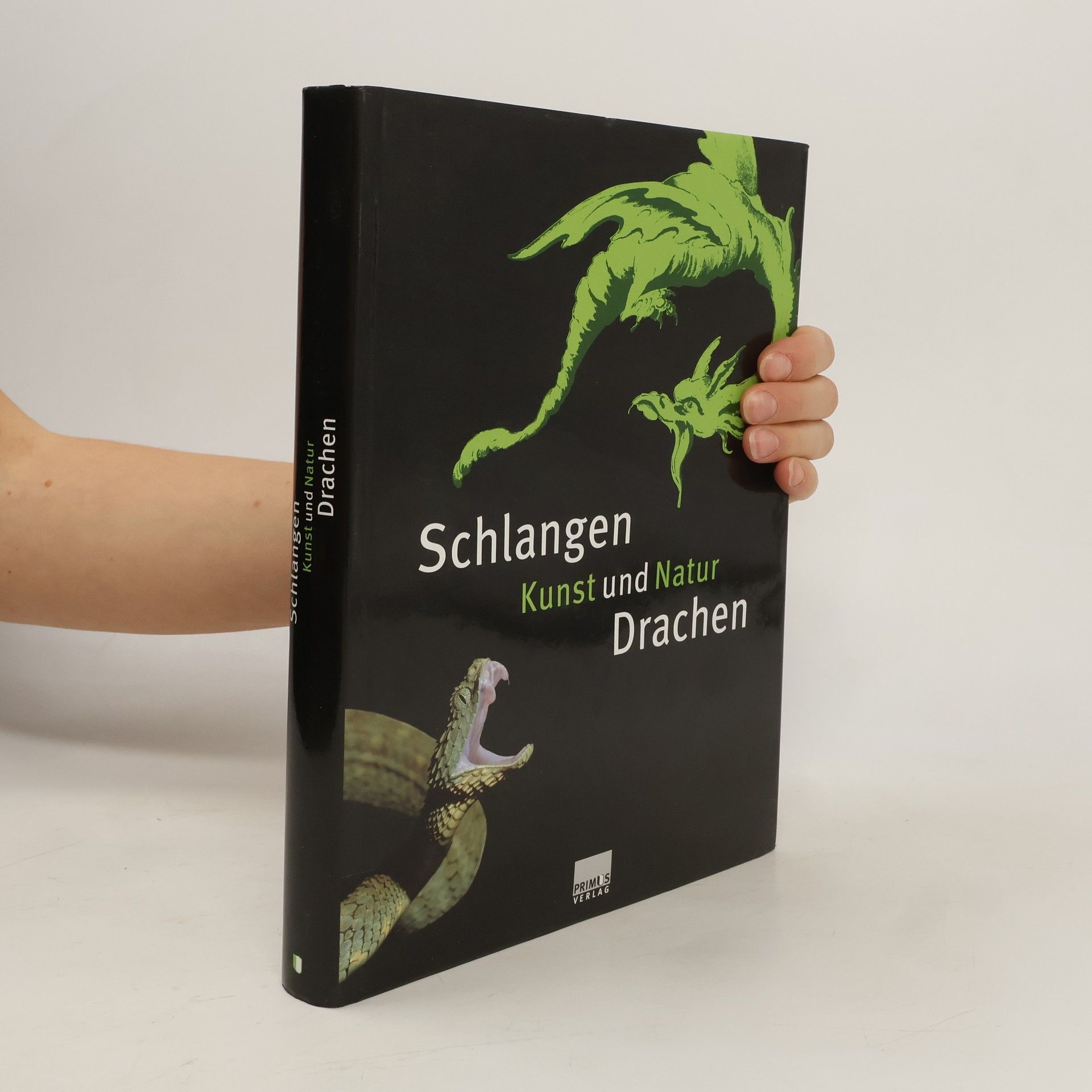 Ulrich Joger Schlangen und Drachen