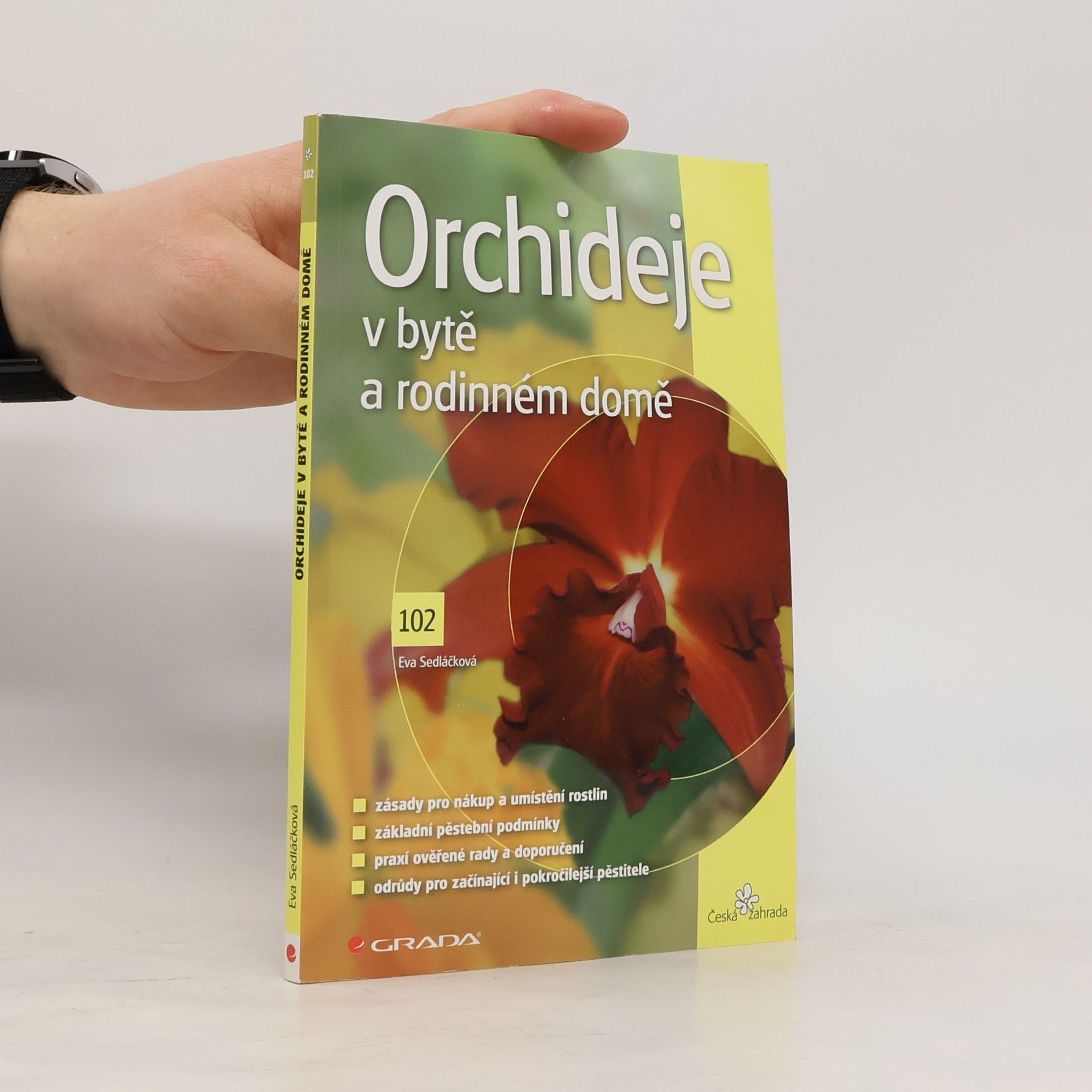 Eva Sedláčková Orchideje v bytě a rodinném domě
