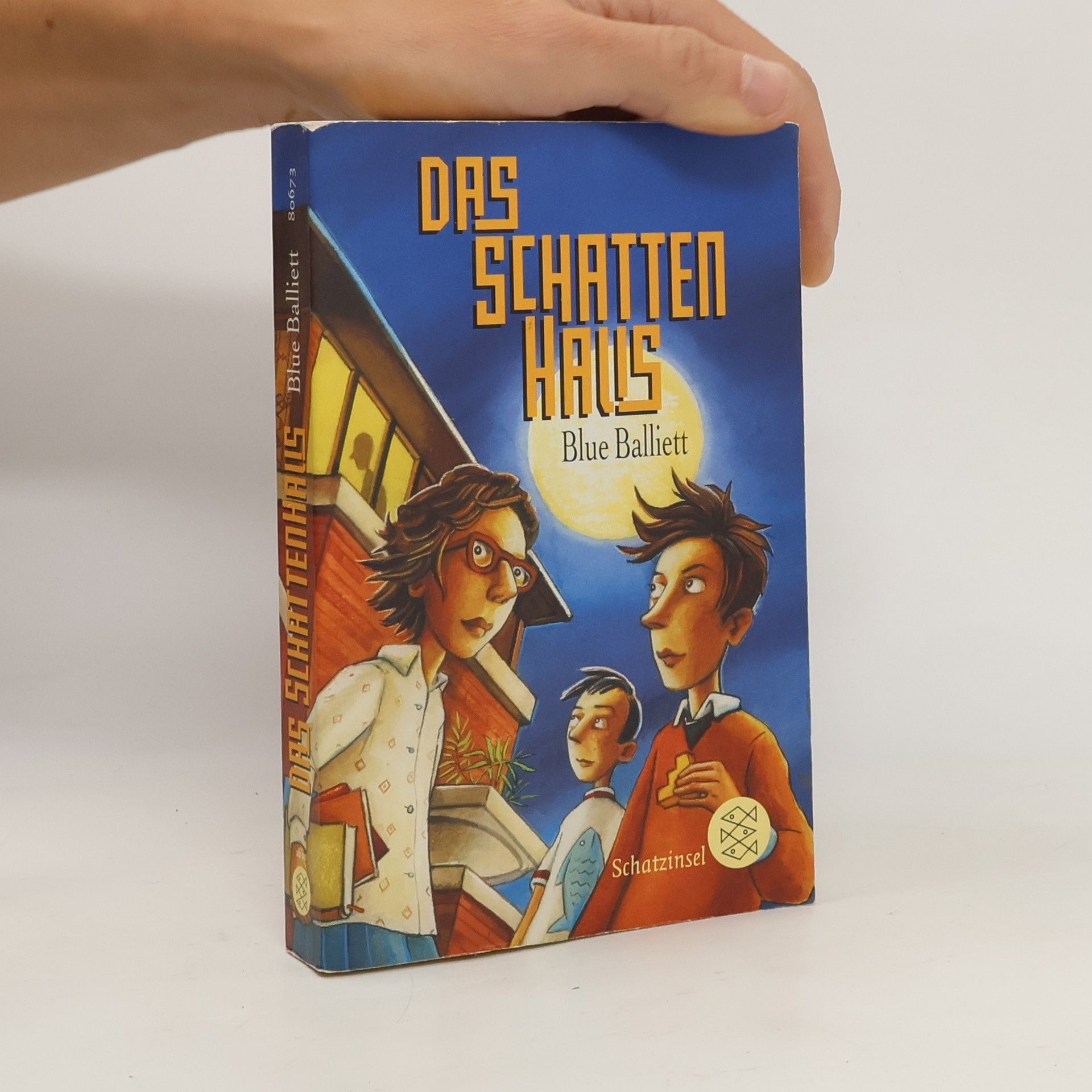 Blue Balliett Das Schattenhaus