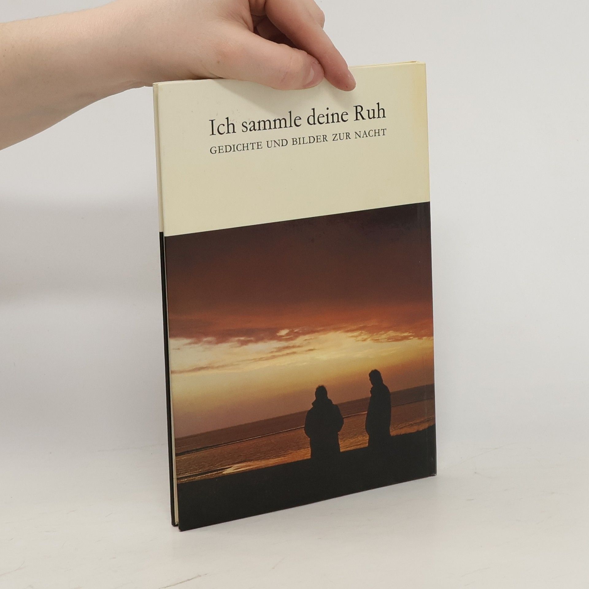 kolektiv Ich sammle Deine Ruh